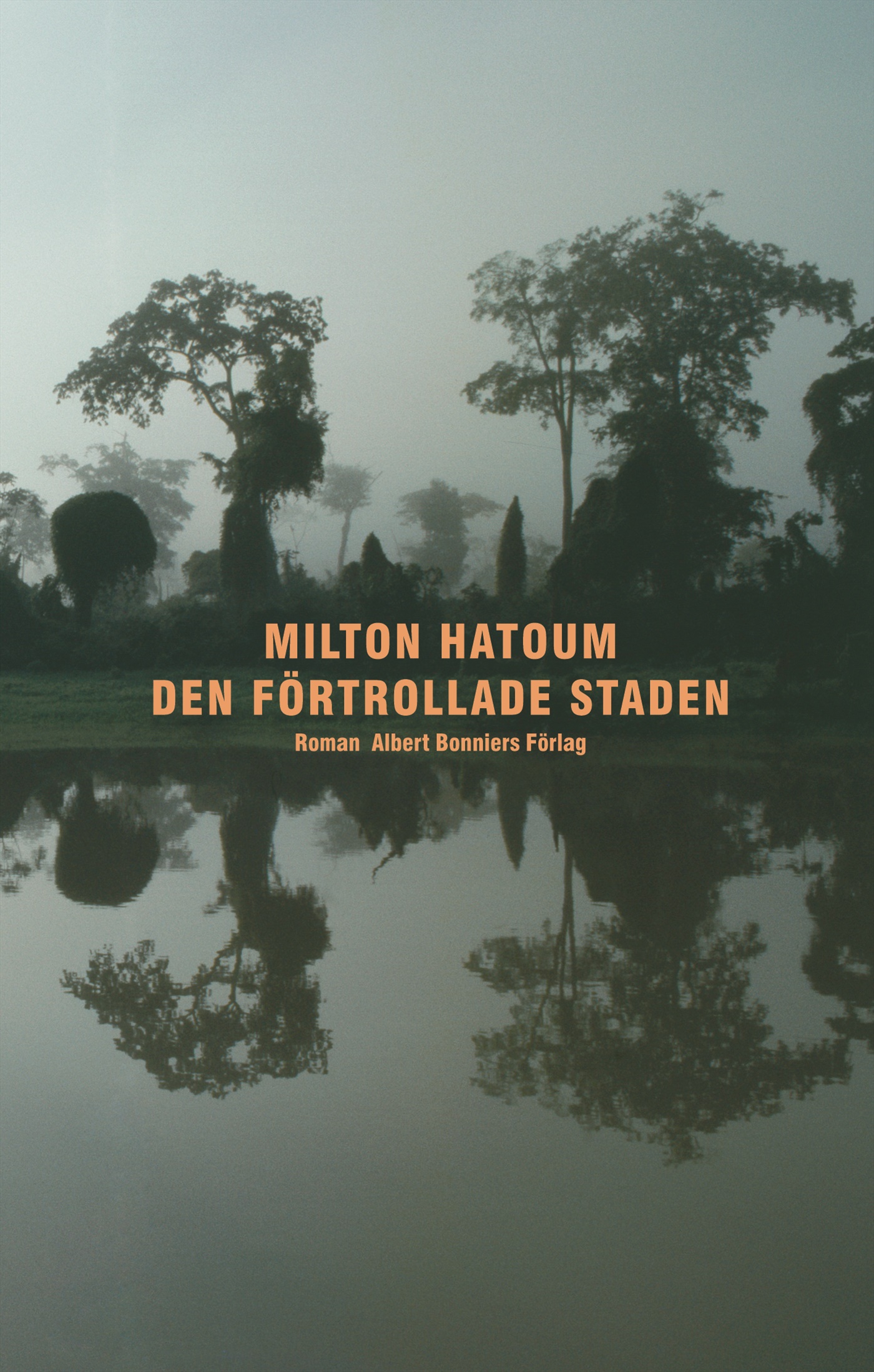 Omslag: Den förtrollade staden