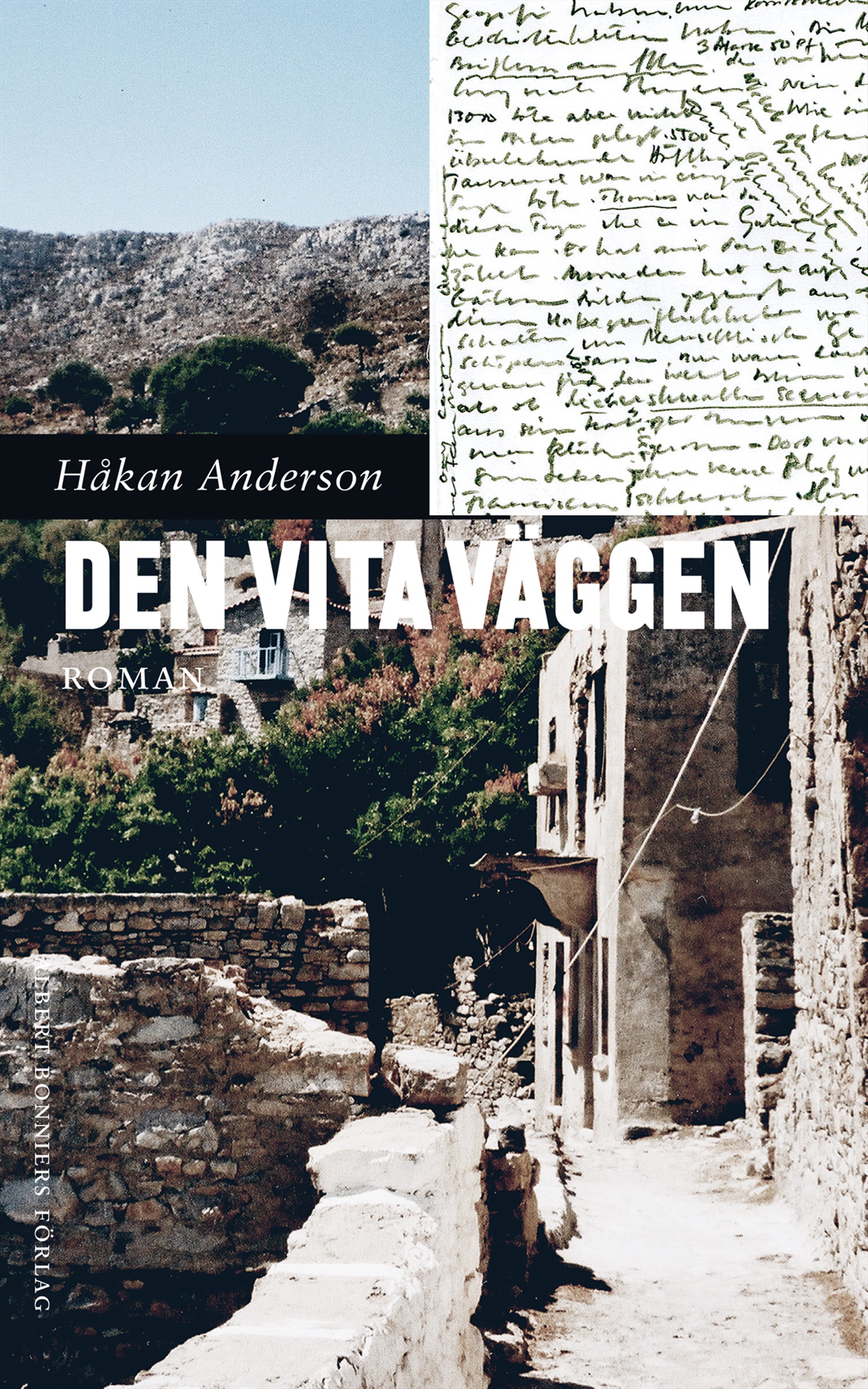 Omslag: Den vita väggen