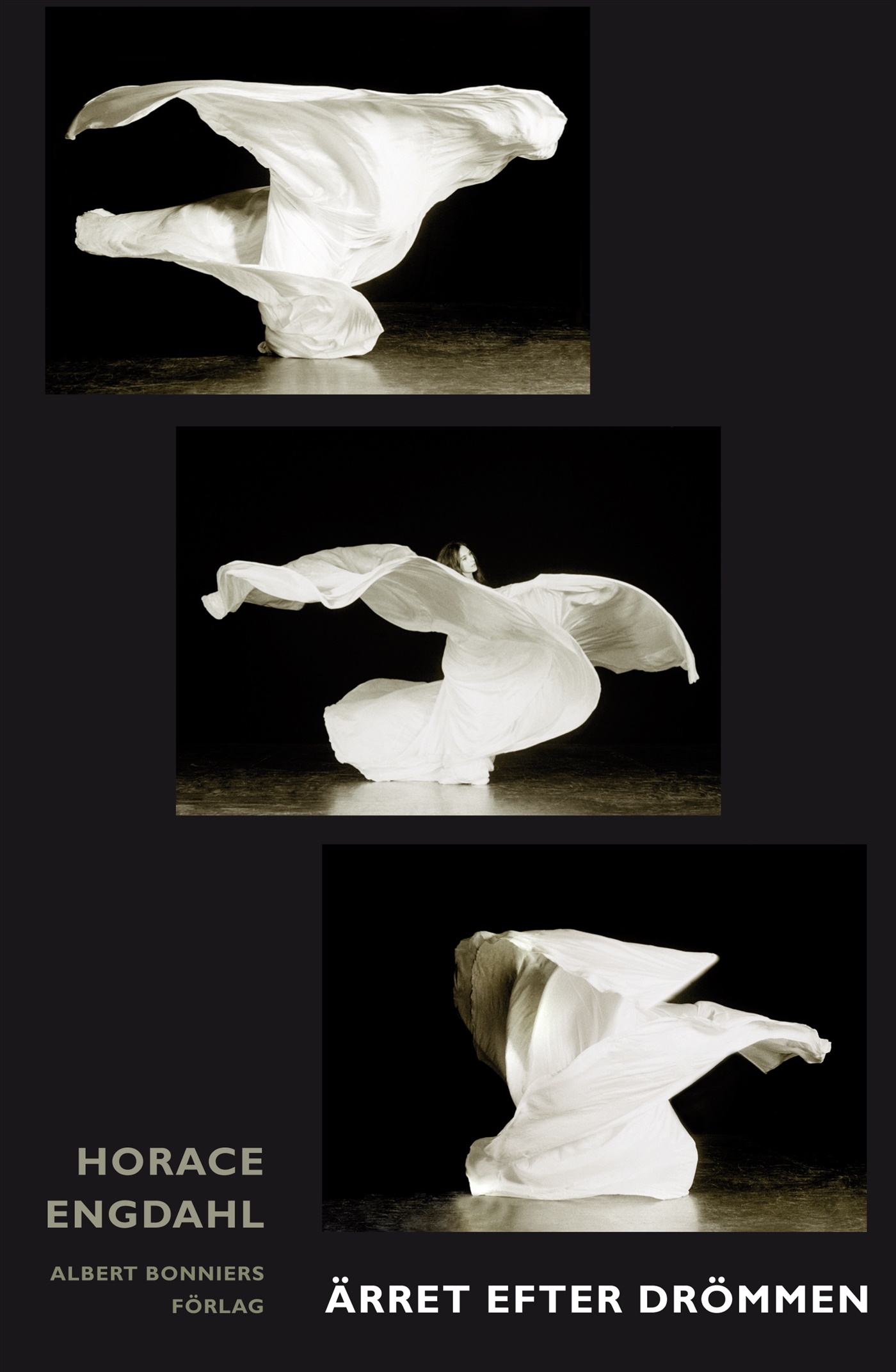 Omslag: Ärret efter drömmen : essäer och artiklar