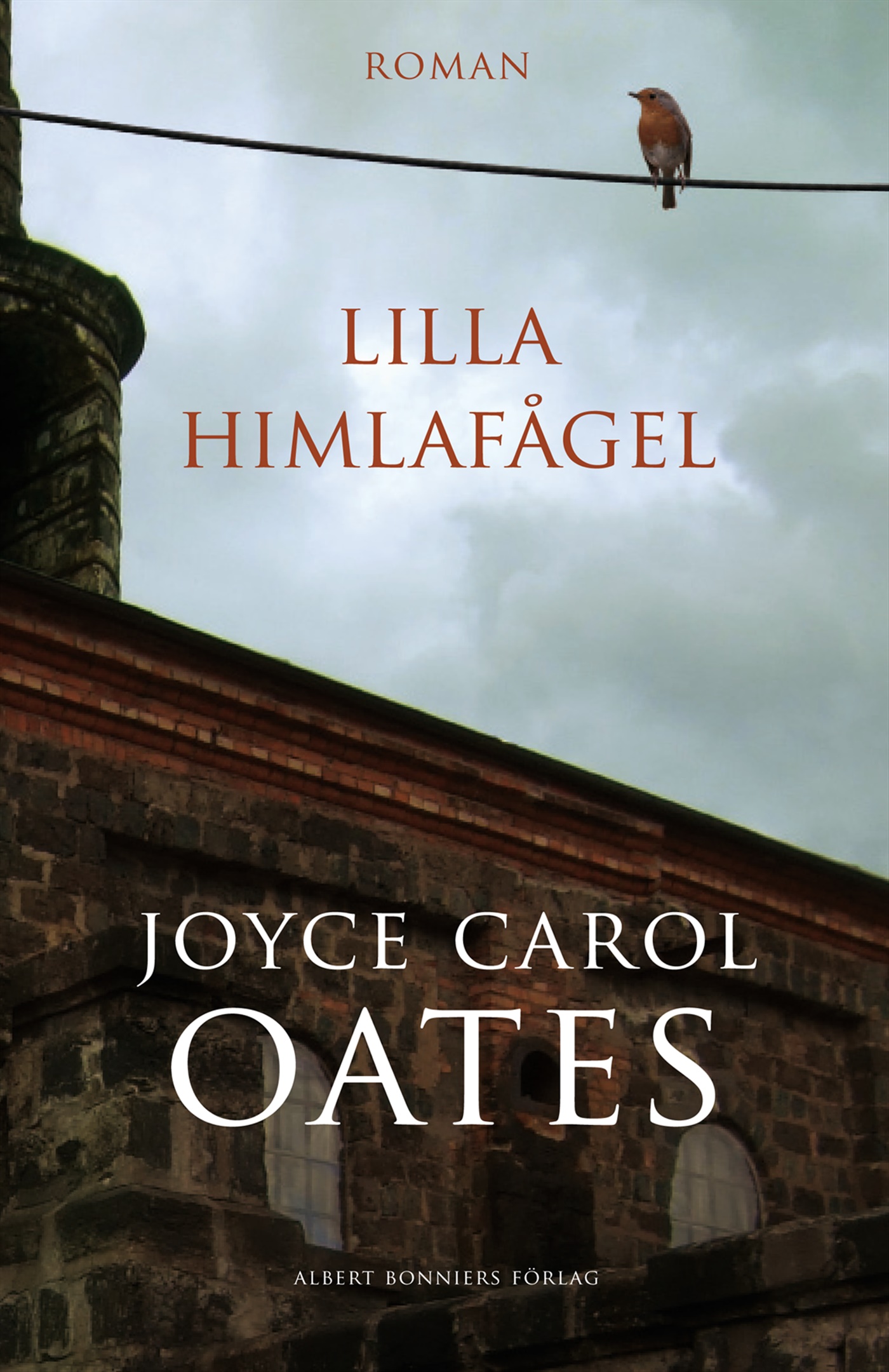 Omslag: Lilla himlafågel