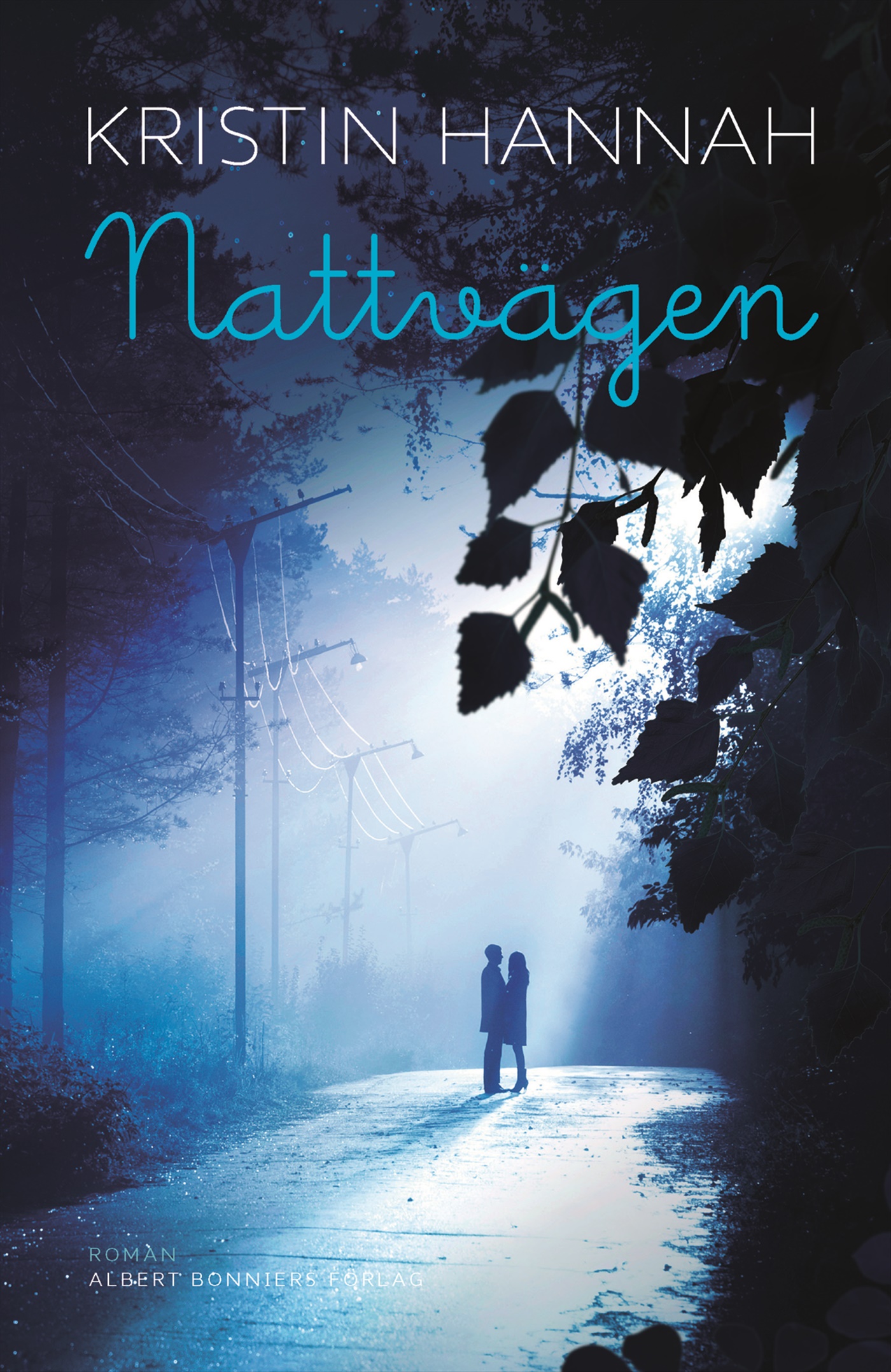 Omslag: Nattvägen