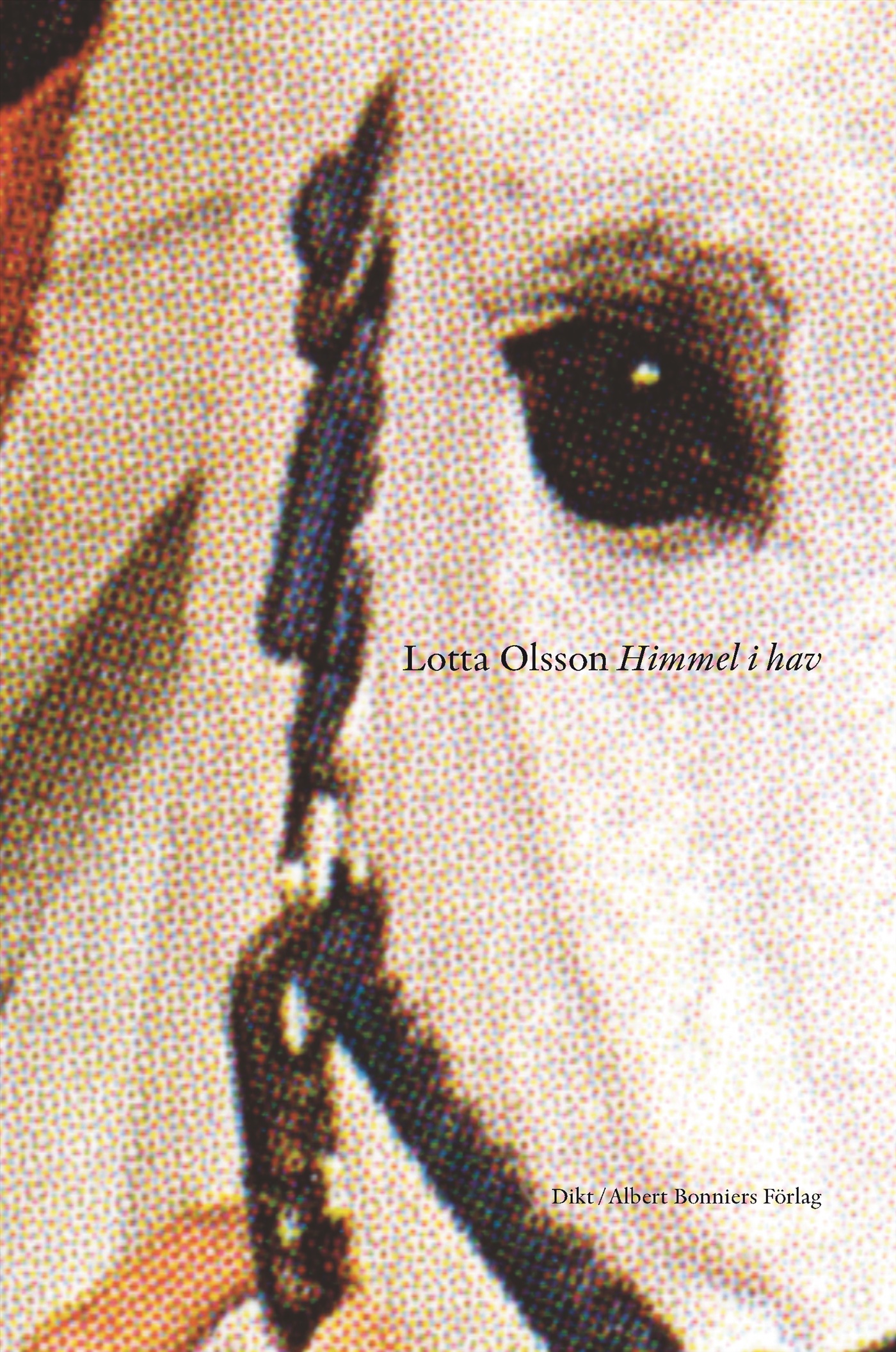 Omslag: Himmel i hav