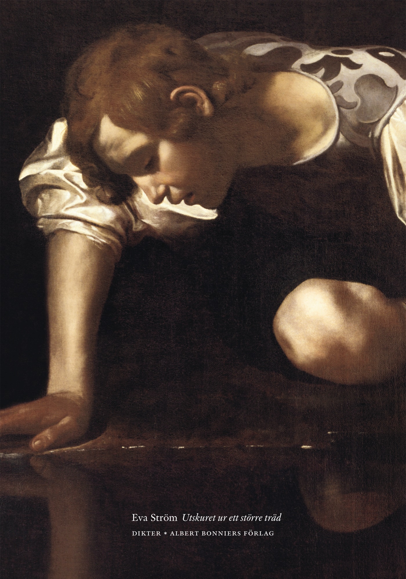 Omslag: Utskuret ur ett större träd