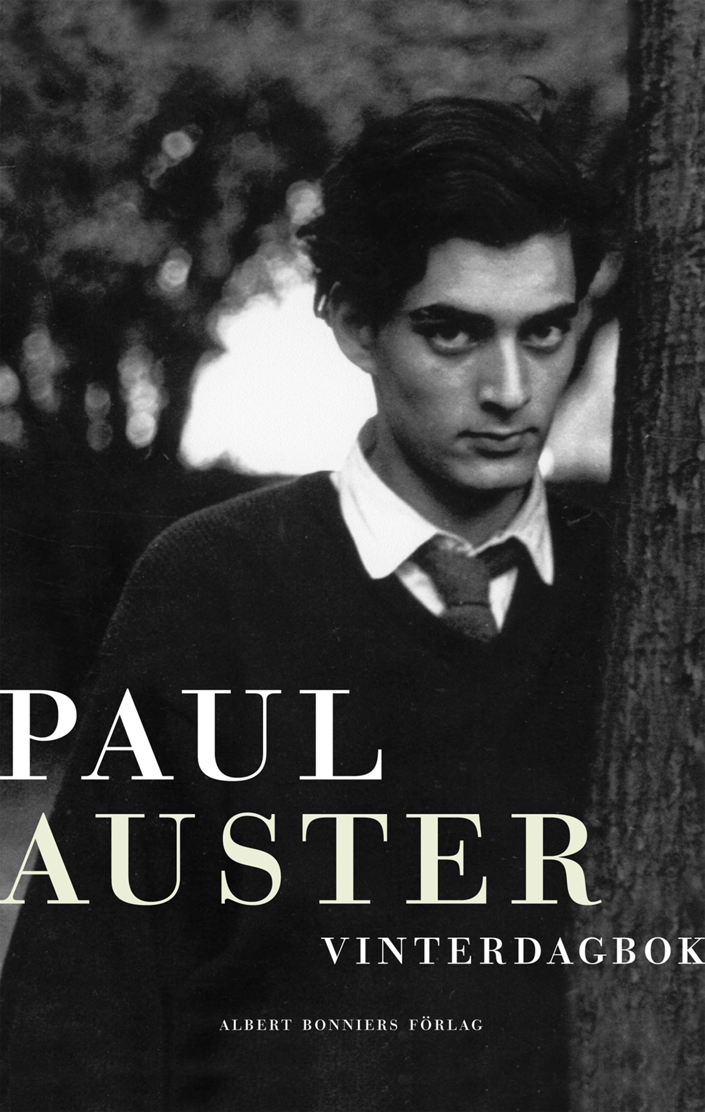 Omslag: Vinterdagbok