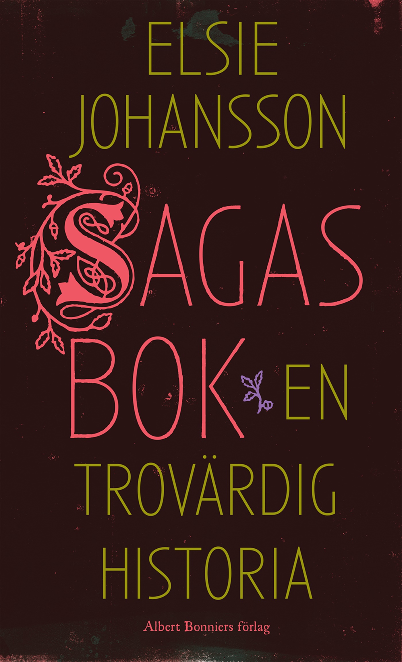 Omslag: Sagas bok : en trovärdig historia