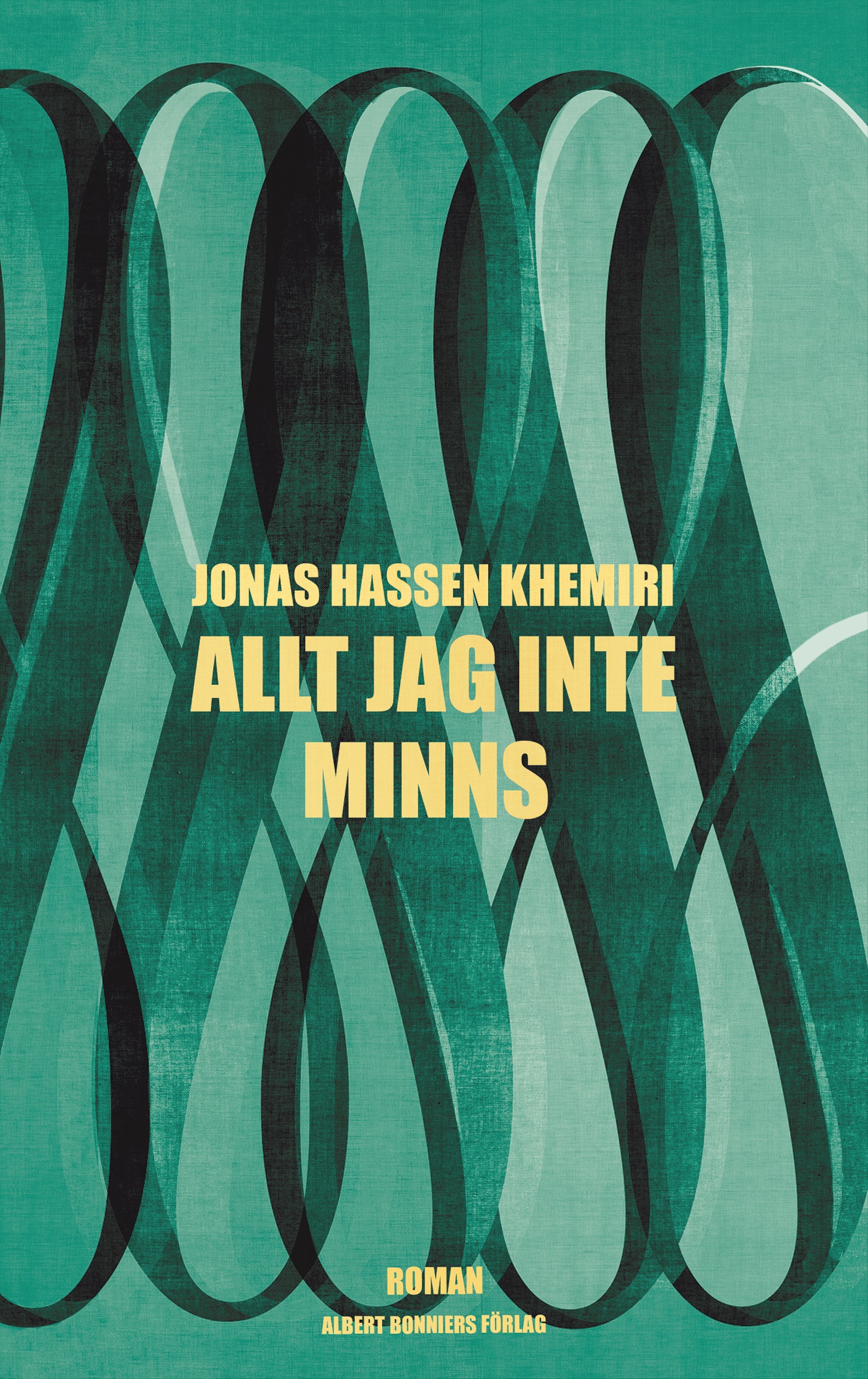 Omslag: Allt jag inte minns