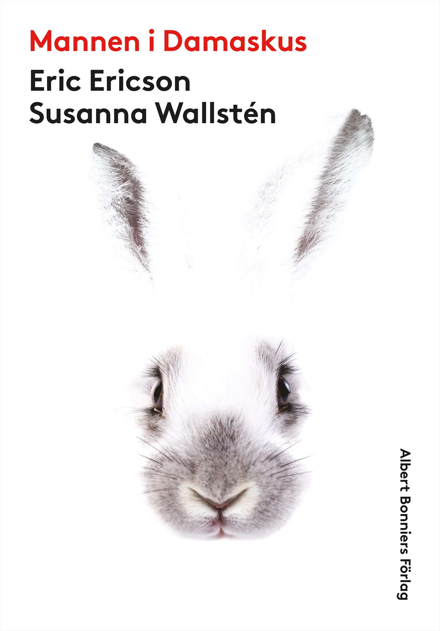 Omslag: Mannen i Damaskus