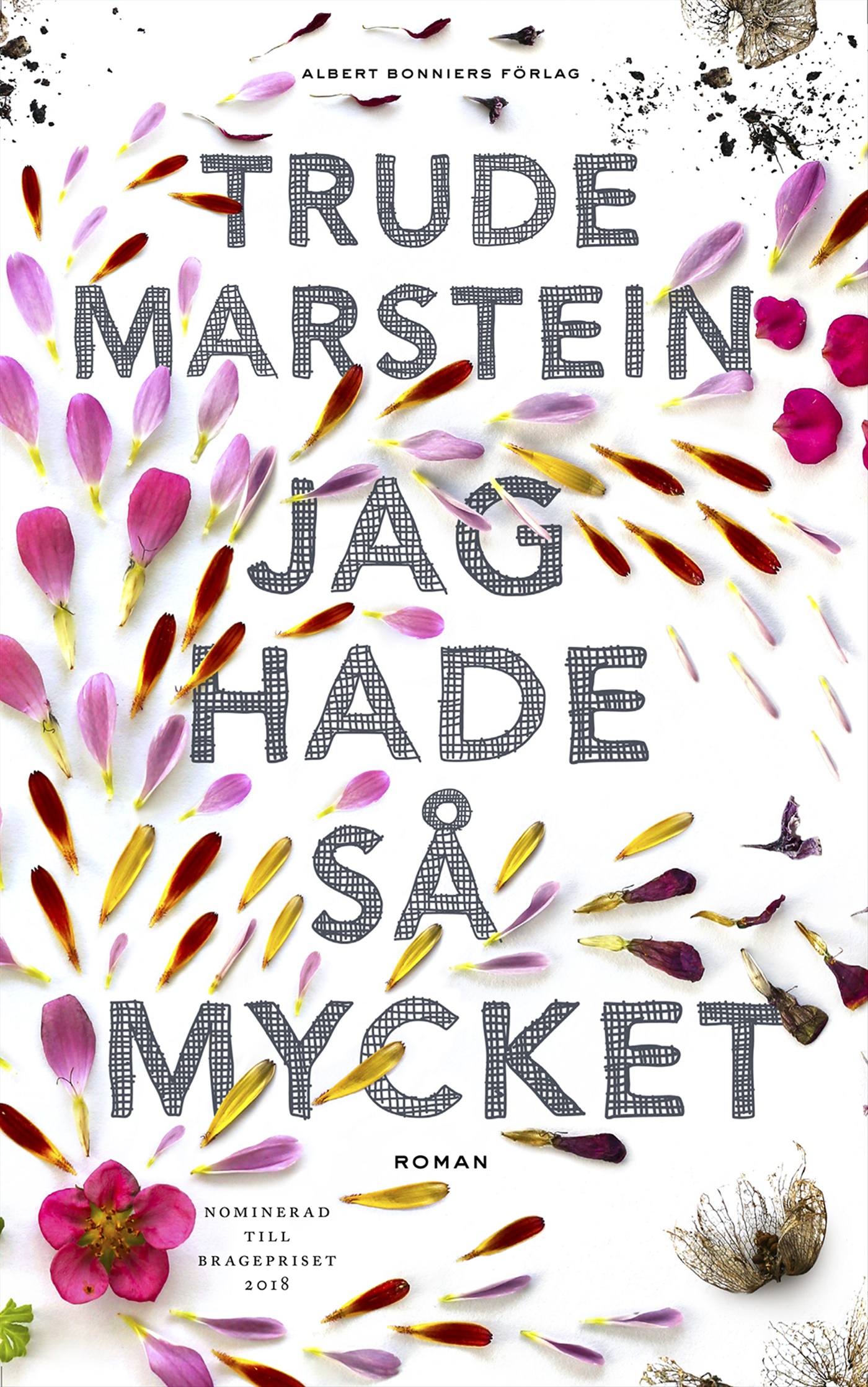Omslag: Jag hade så mycket