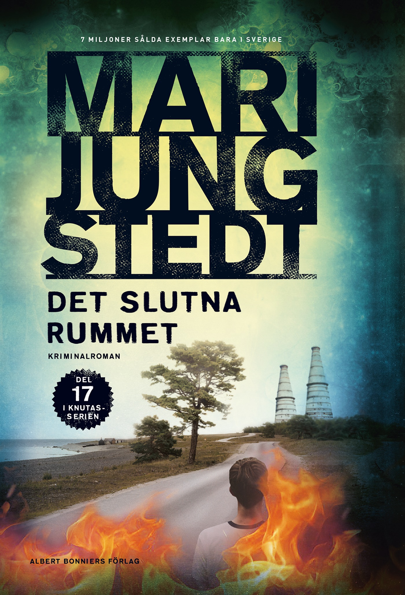 Omslag: Det slutna rummet