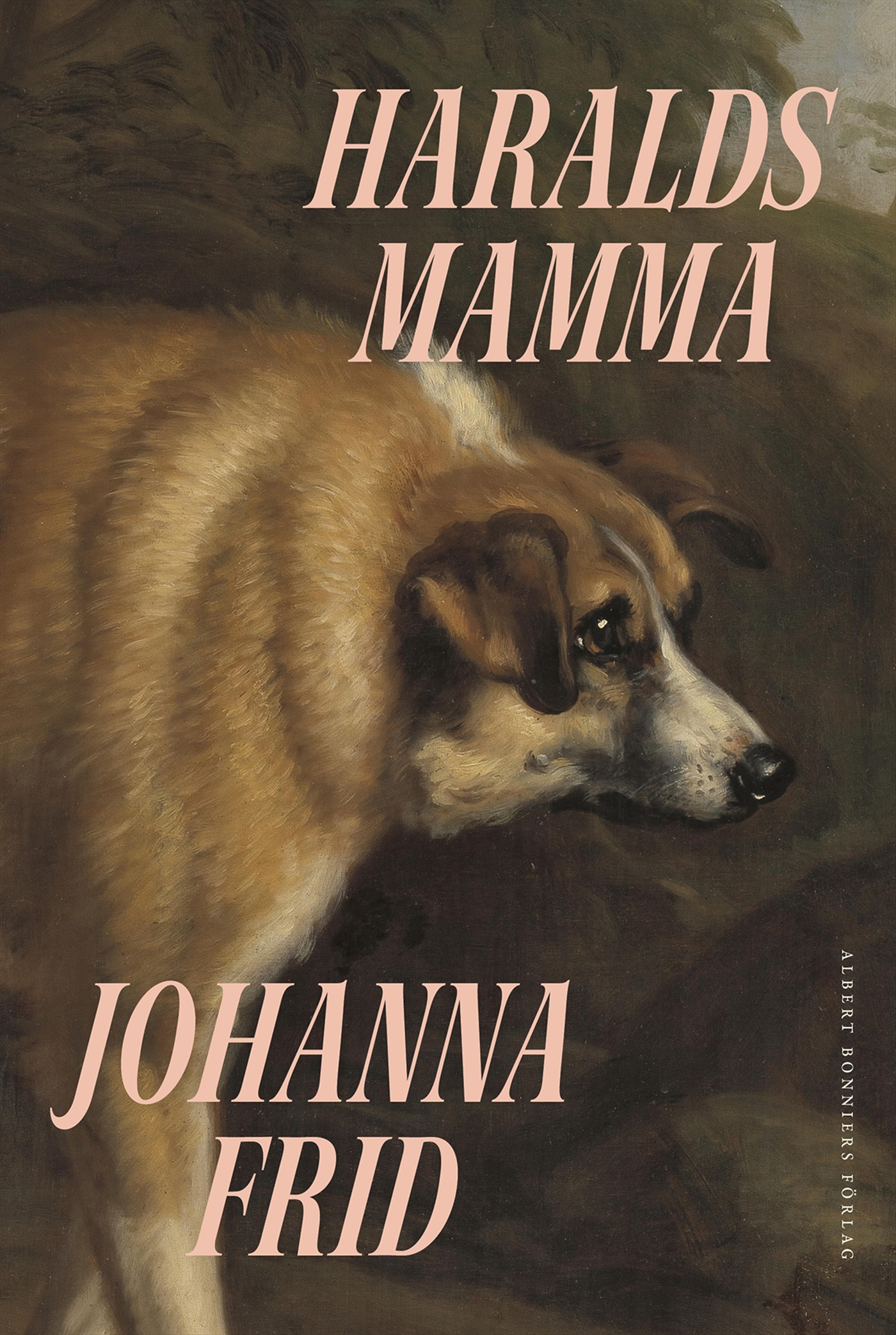 Omslag: Haralds mamma