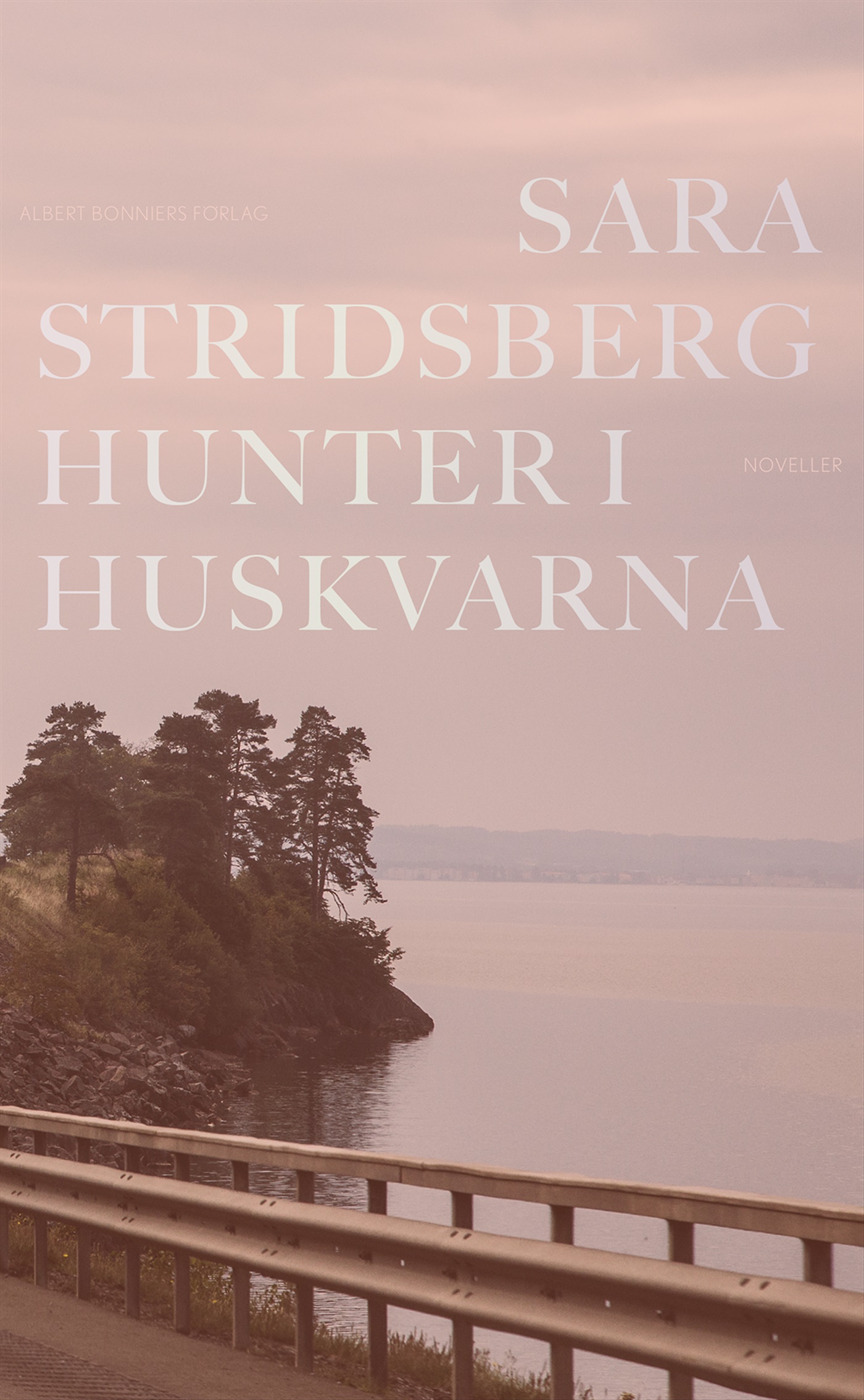 Omslag: Hunter i Huskvarna