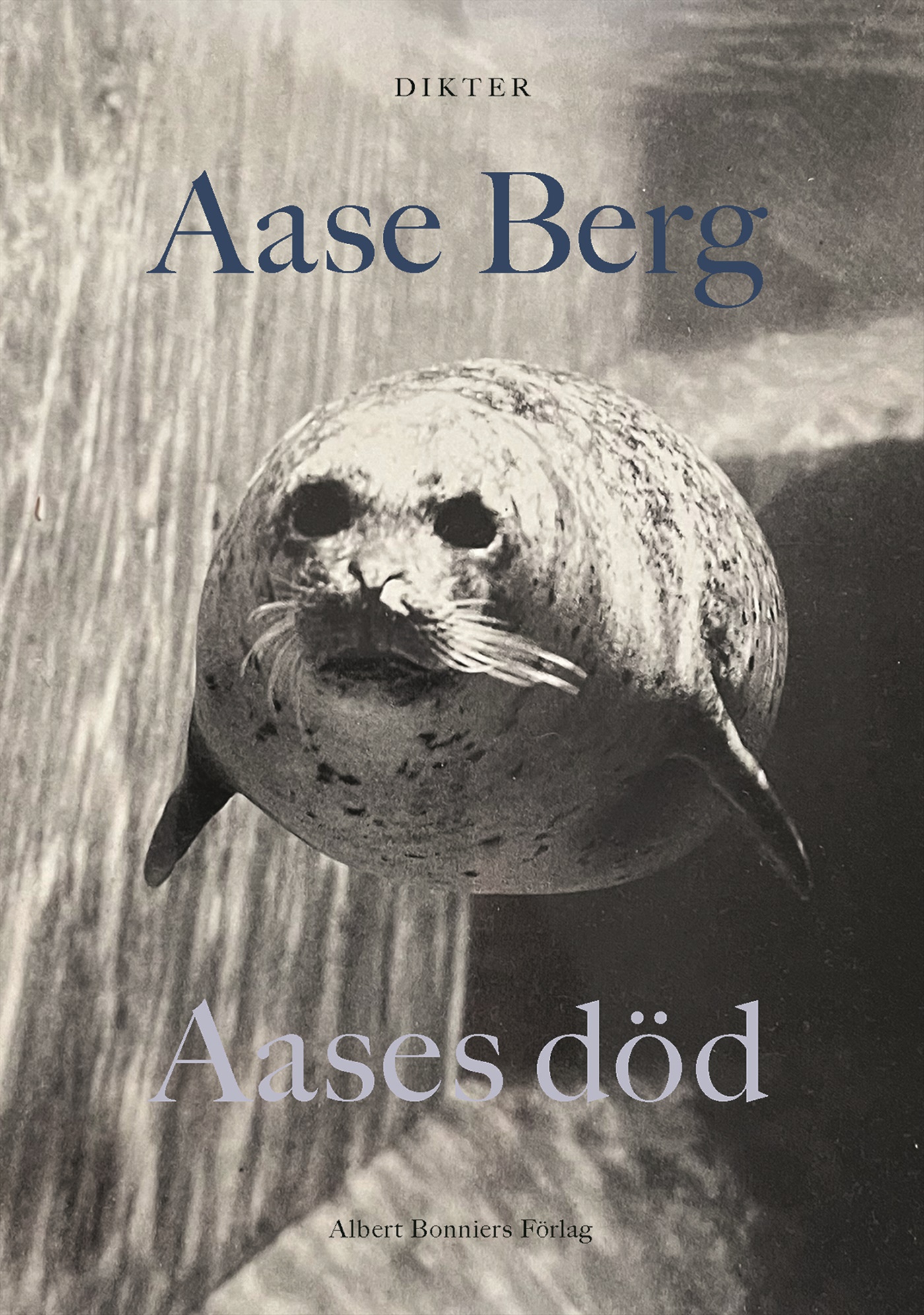 Omslag: Aases död