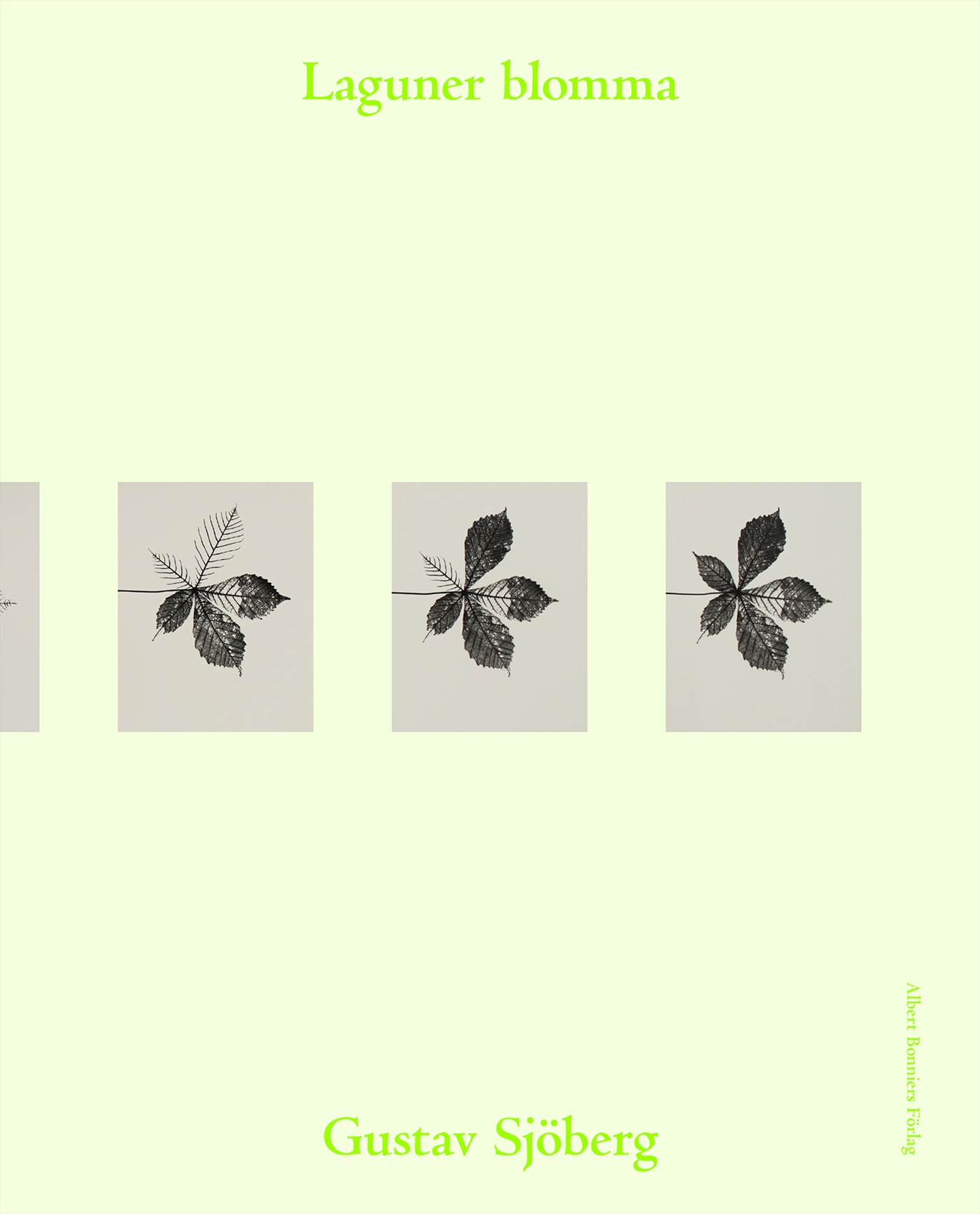 Omslag: Laguner blomma