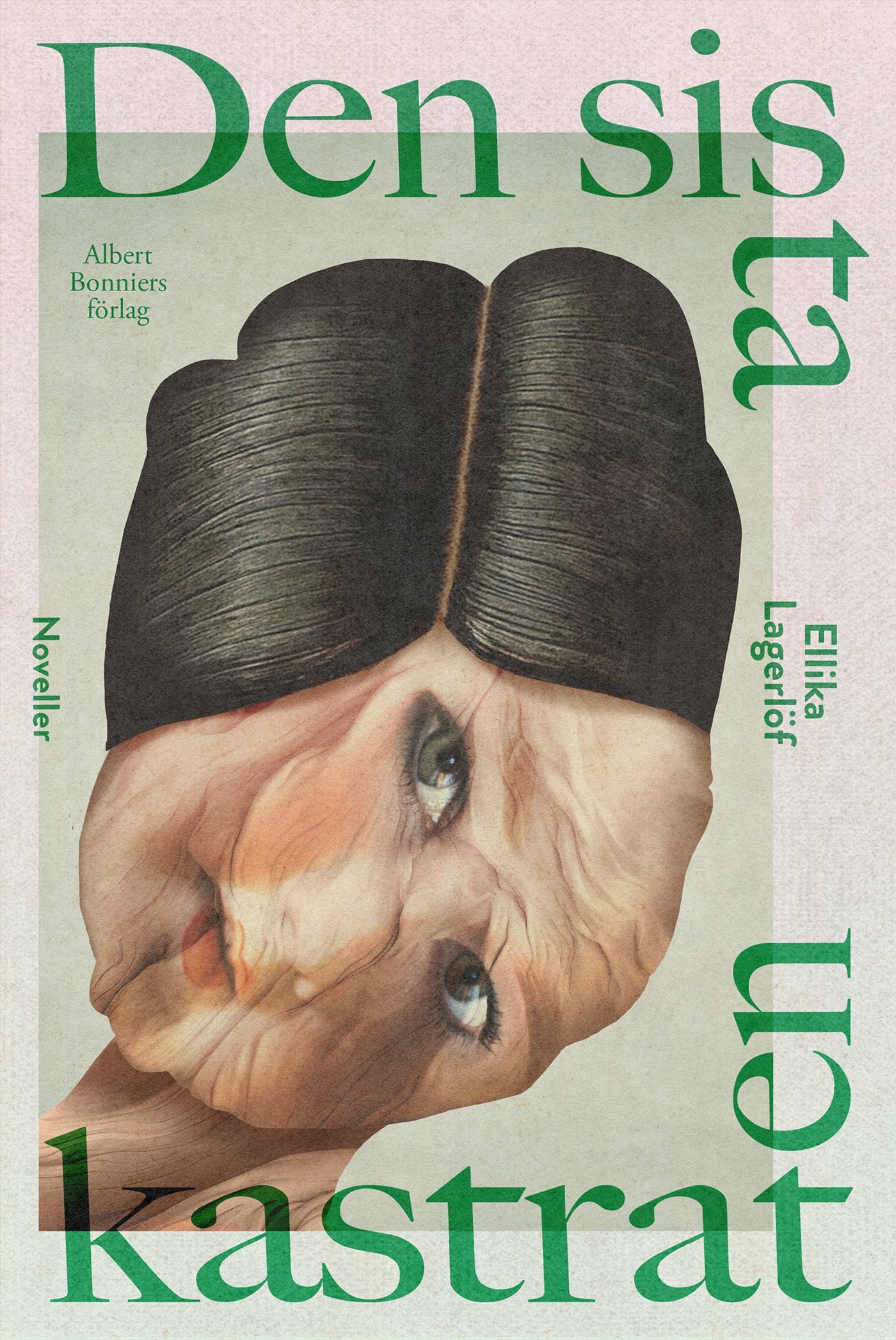 Omslag: Den sista kastraten