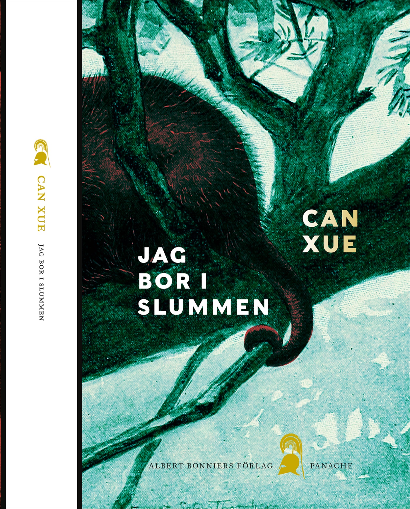 Omslag: Jag bor i slummen