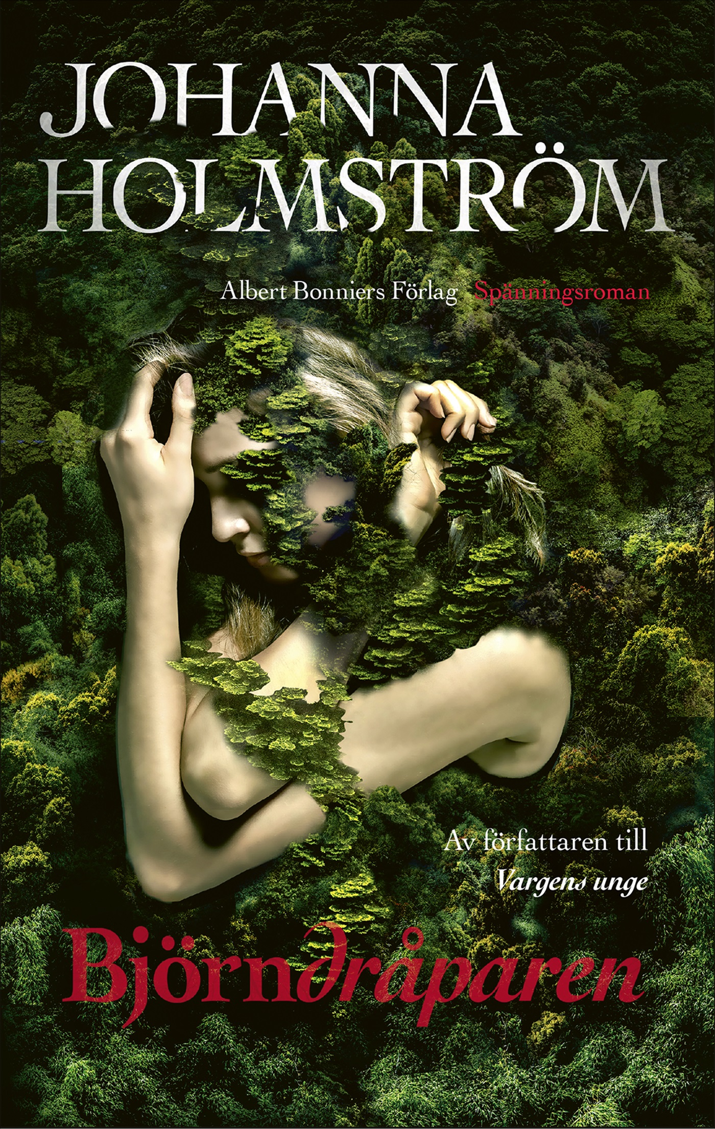 Omslag: Björndråparen