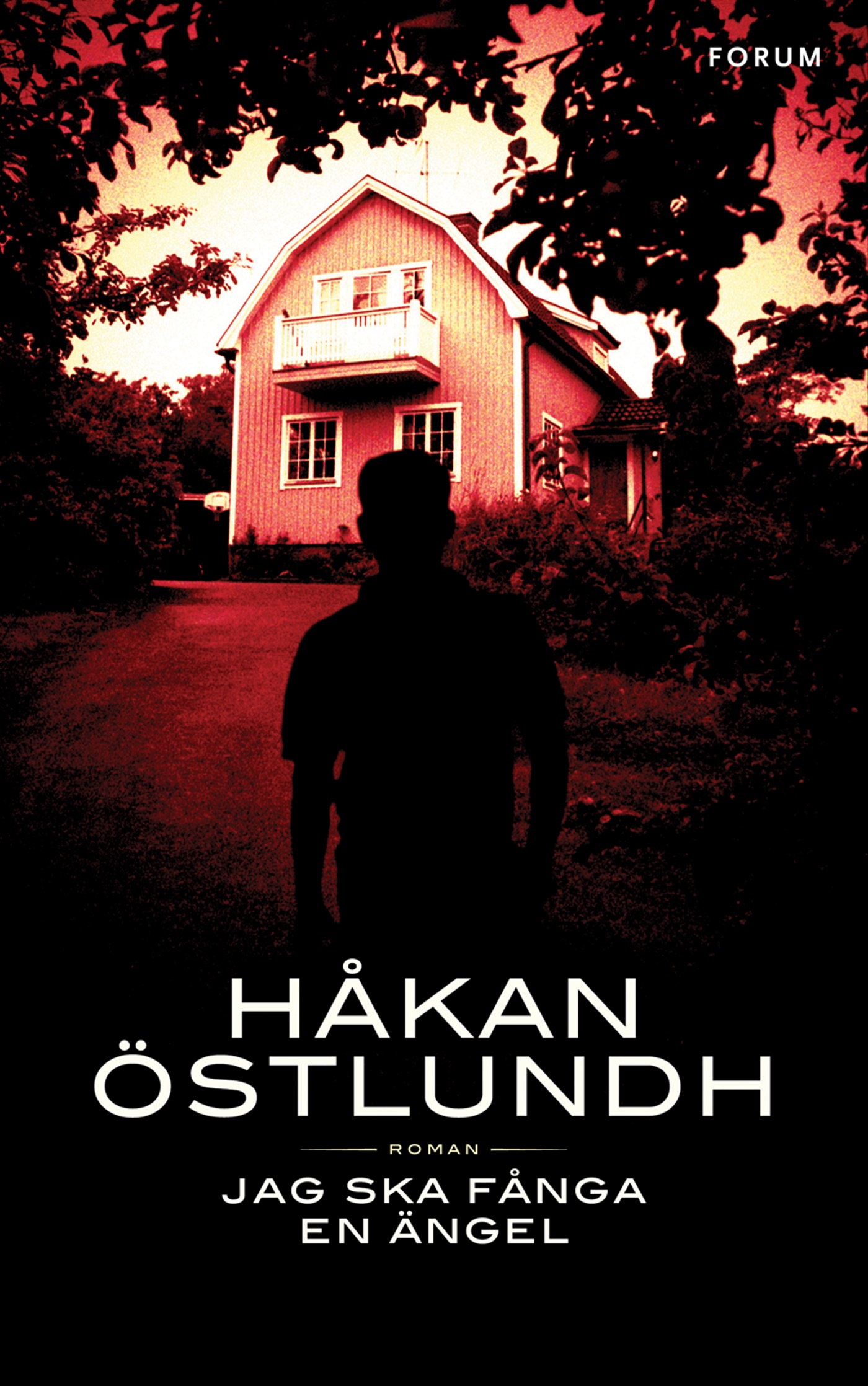 Omslag: Jag ska fånga en ängel