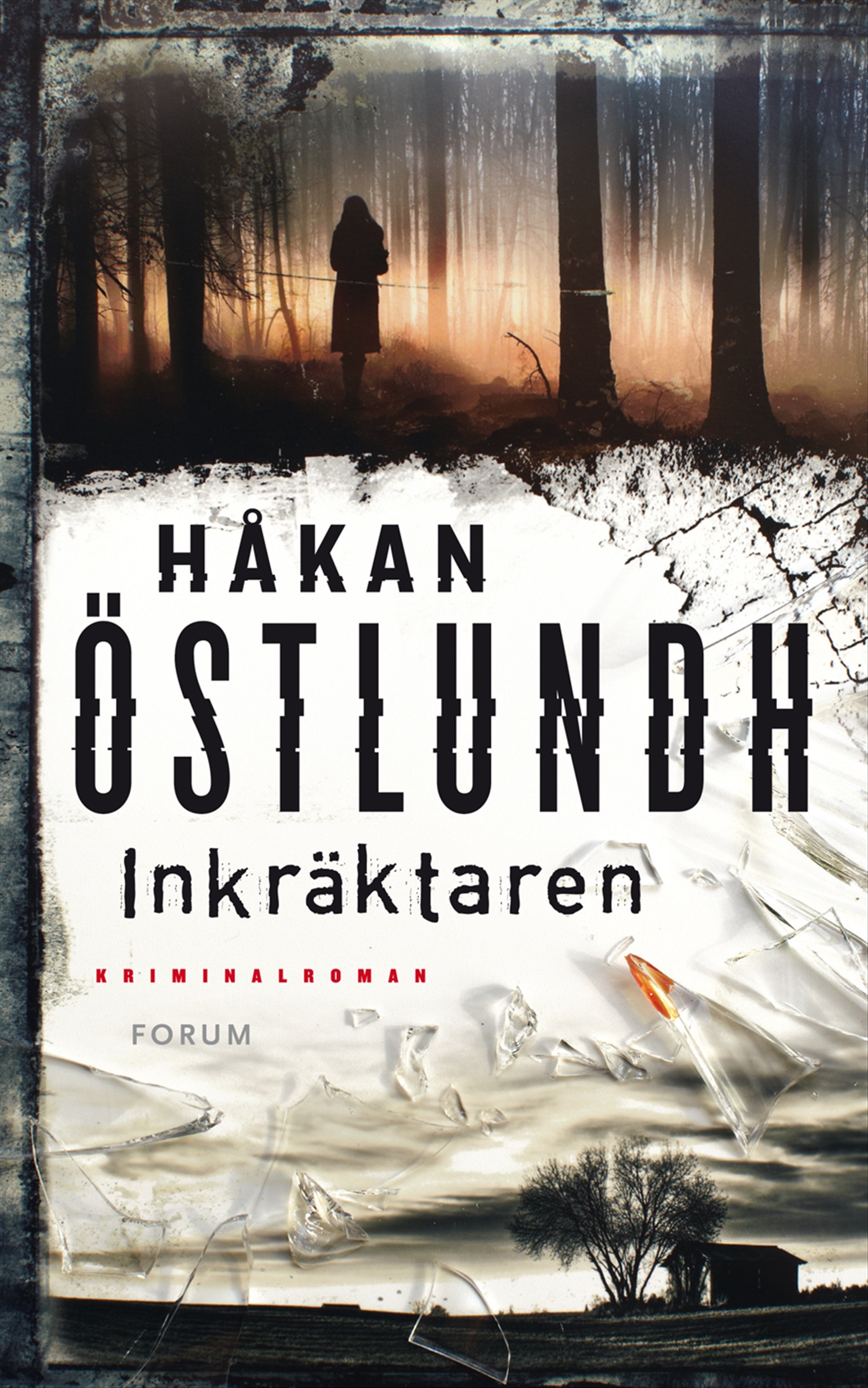 Omslag: Inkräktaren
