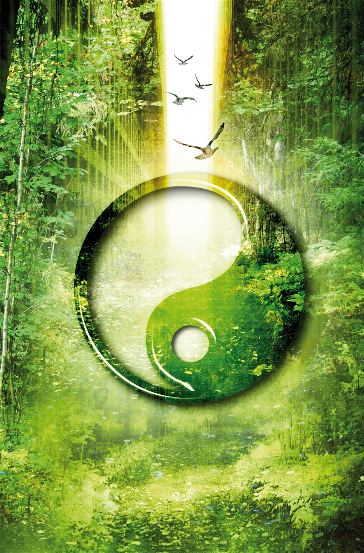 Omslag: De ickesynliga