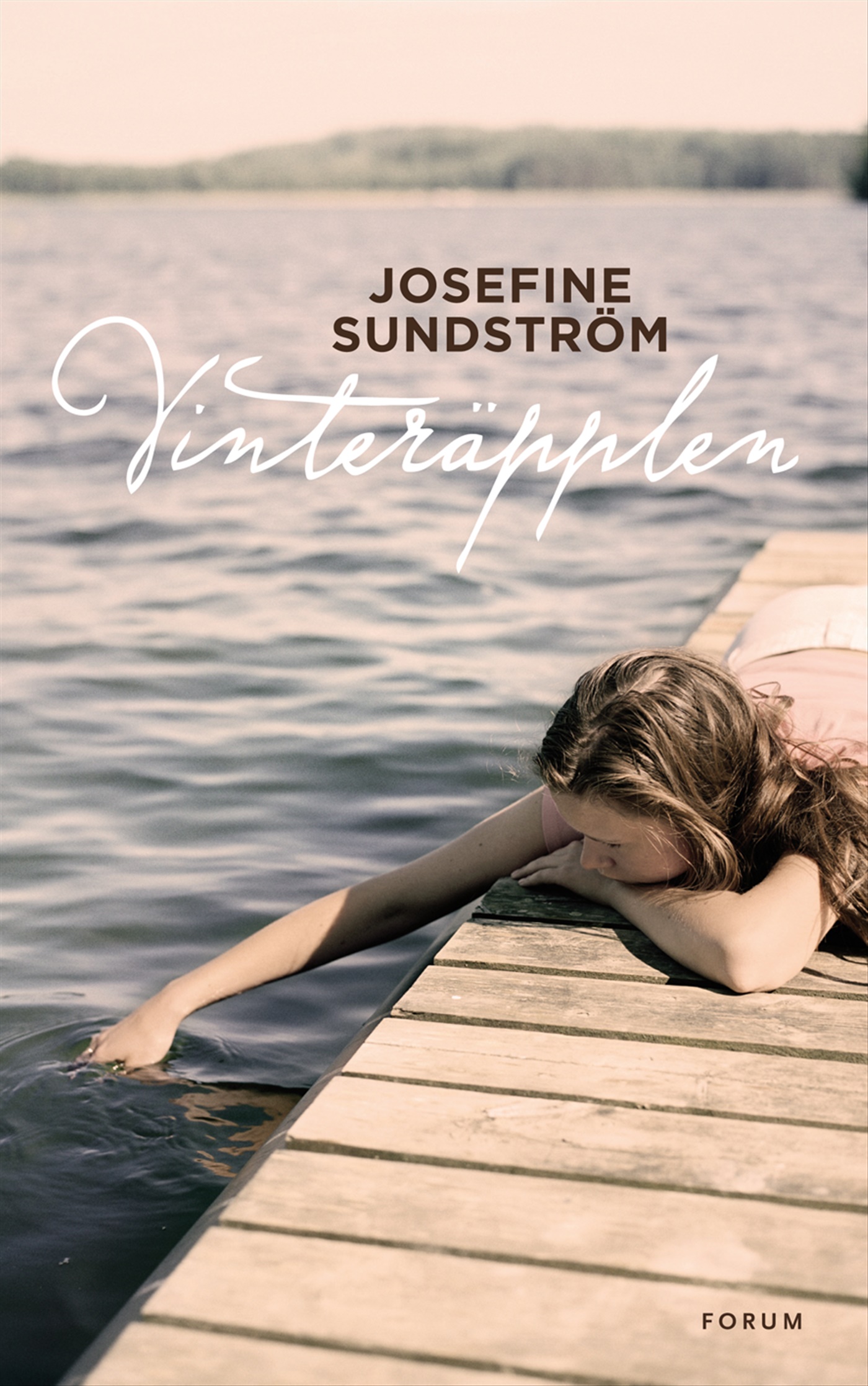 Omslag: Vinteräpplen