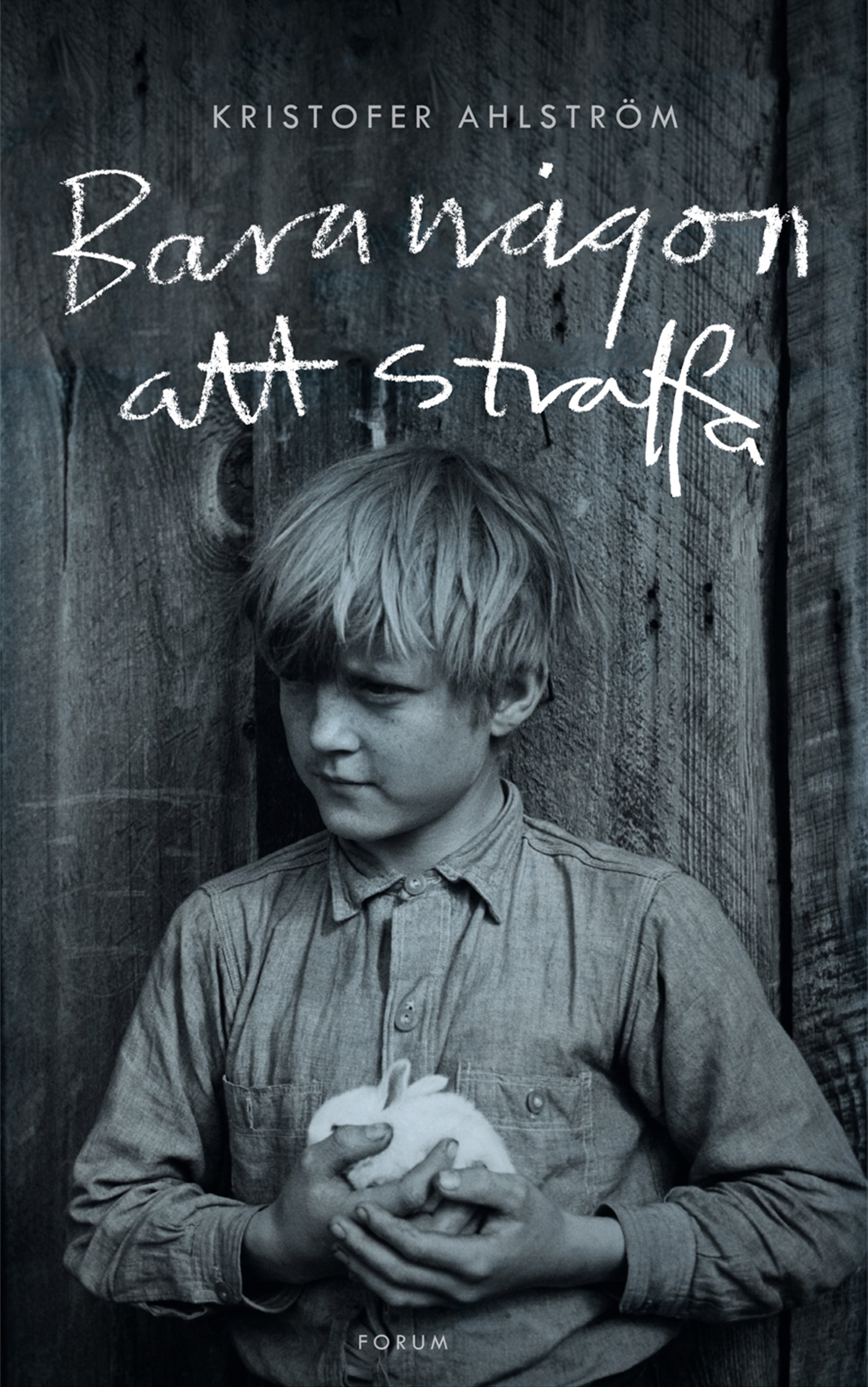 Omslag: Bara någon att straffa