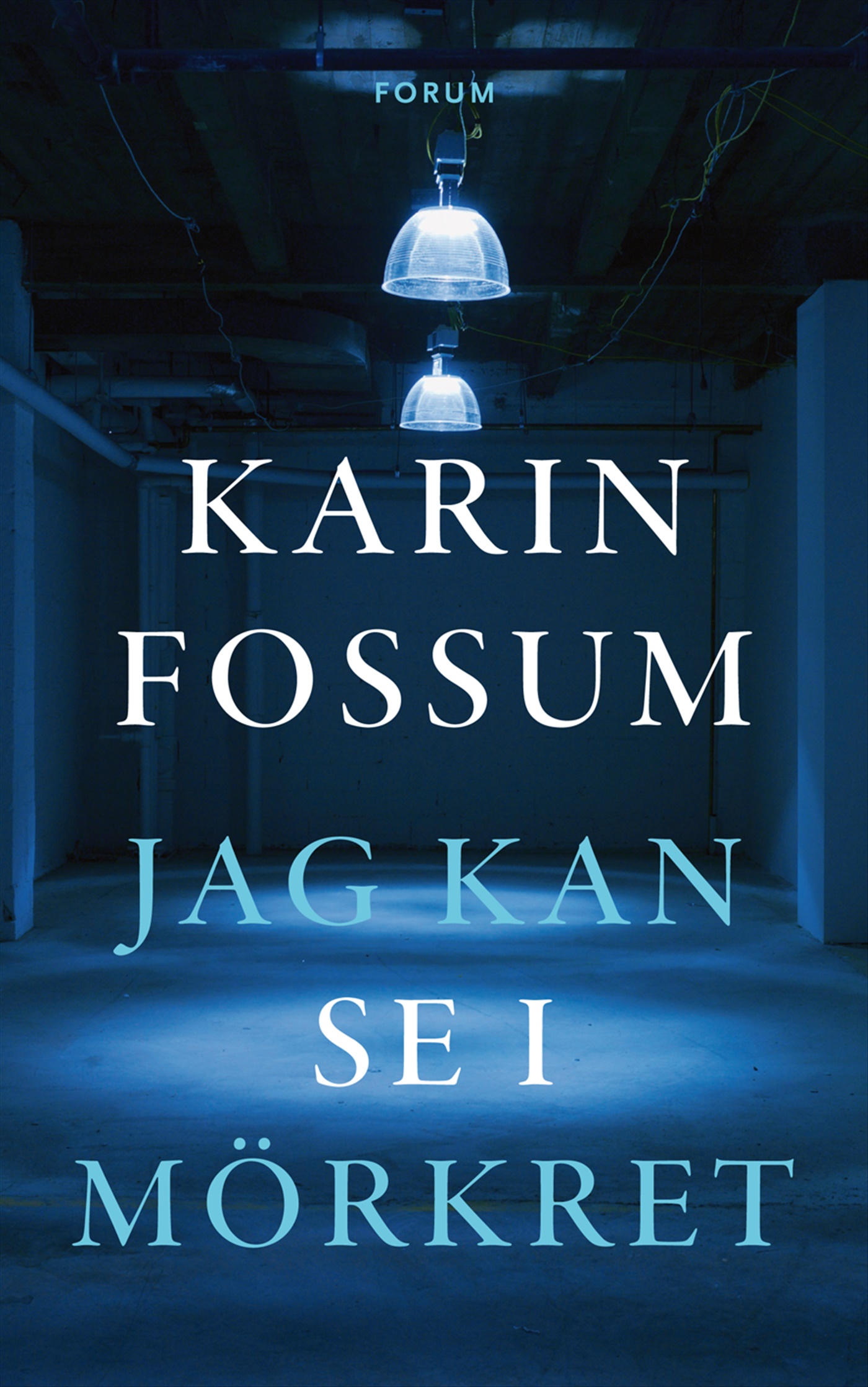 Omslag: Jag kan se i mörkret