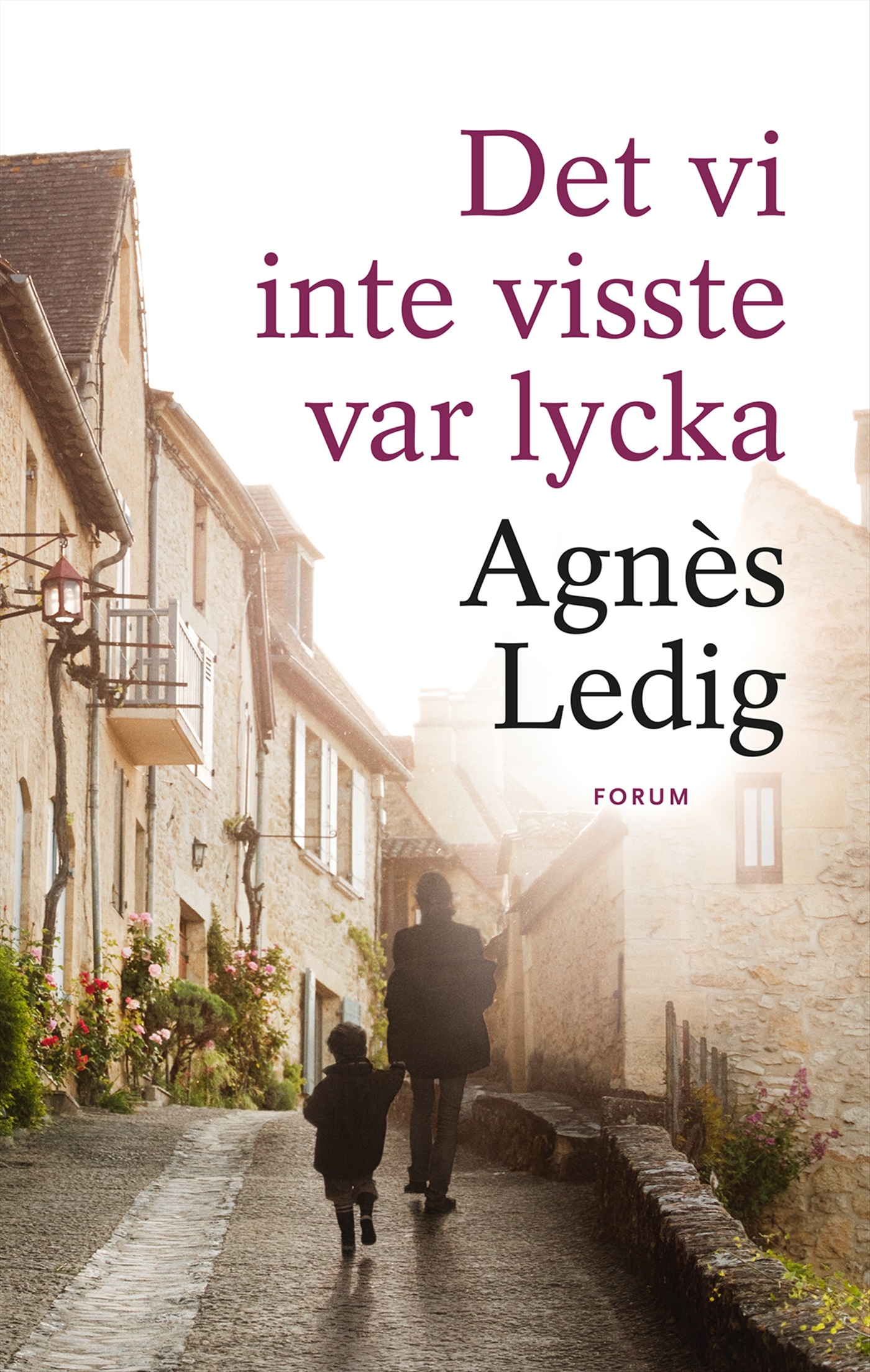 Omslag: Det vi inte visste var lycka
