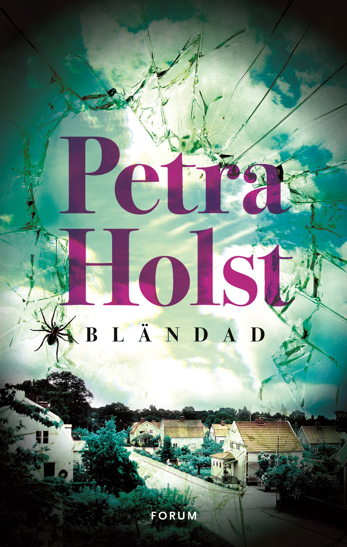 Omslag: Bländad