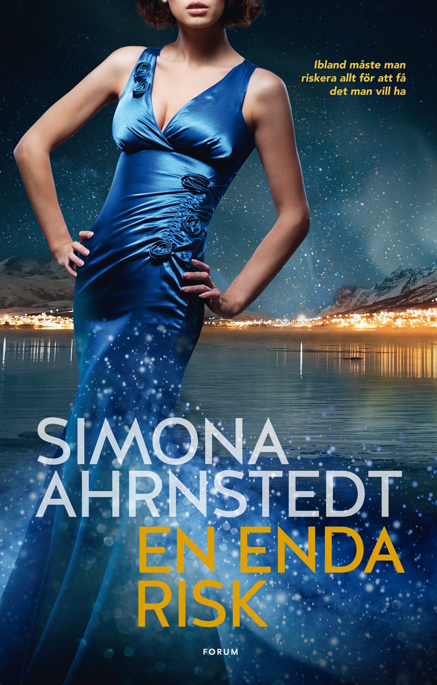 Omslag: En enda risk