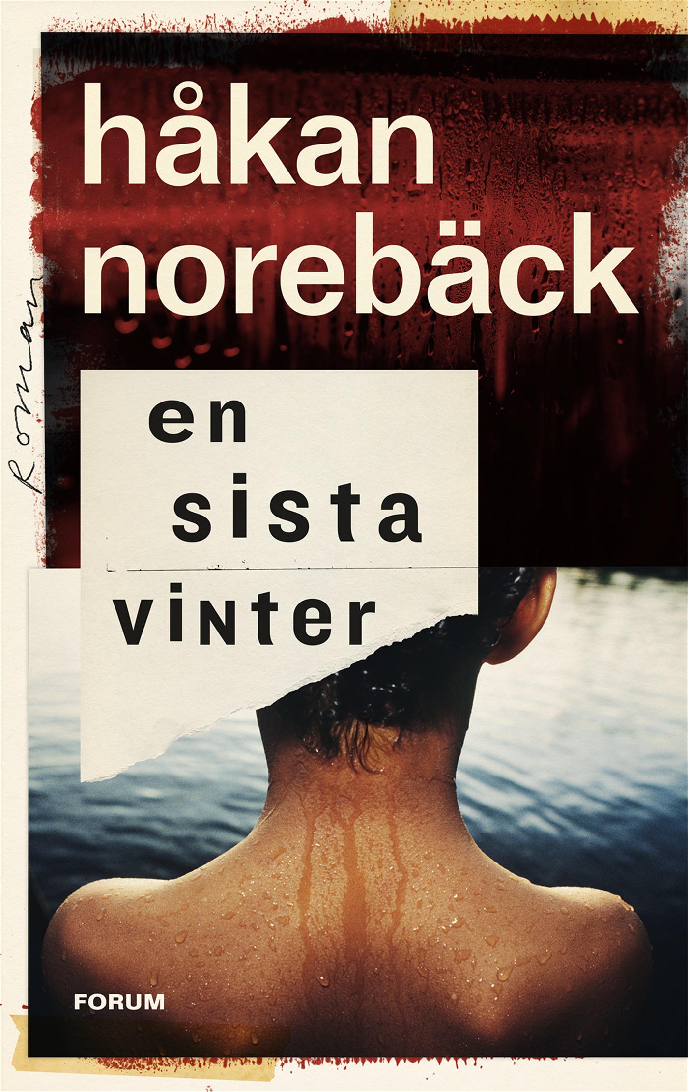 Omslag: En sista vinter