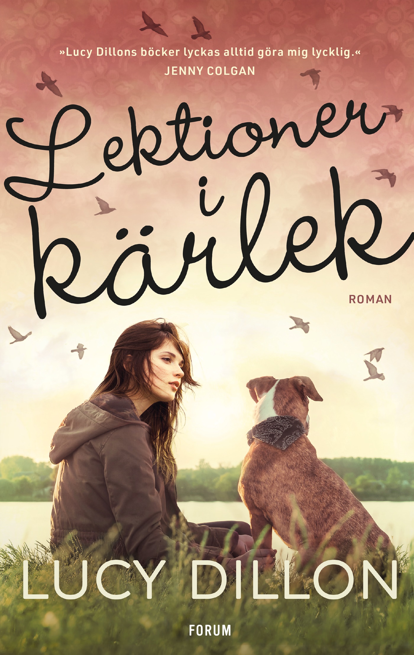 Omslag: Lektioner i kärlek