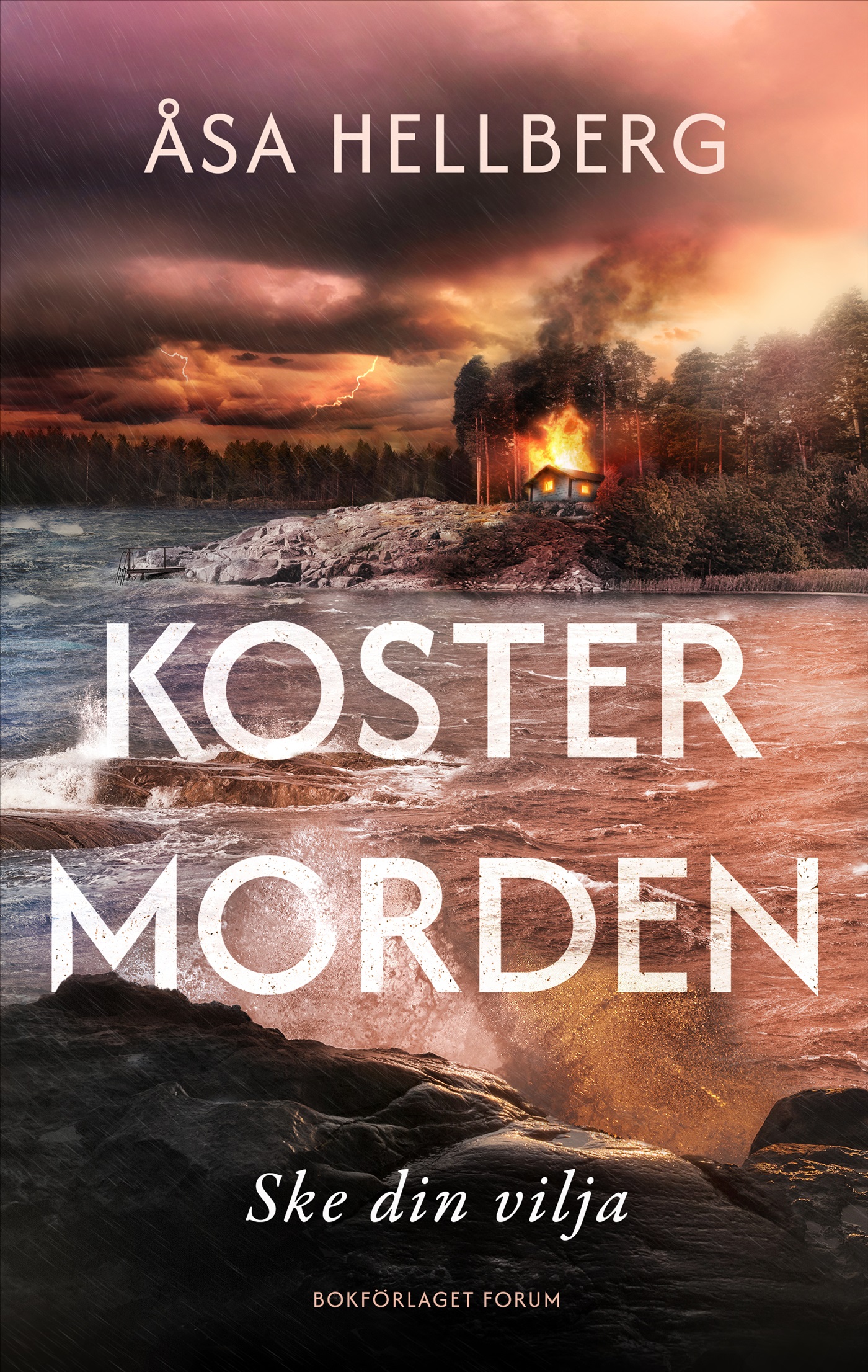 Omslag: Ske din vilja