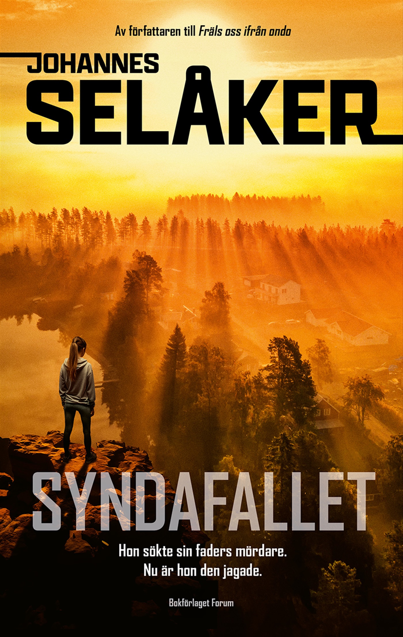 Omslag: Syndafallet