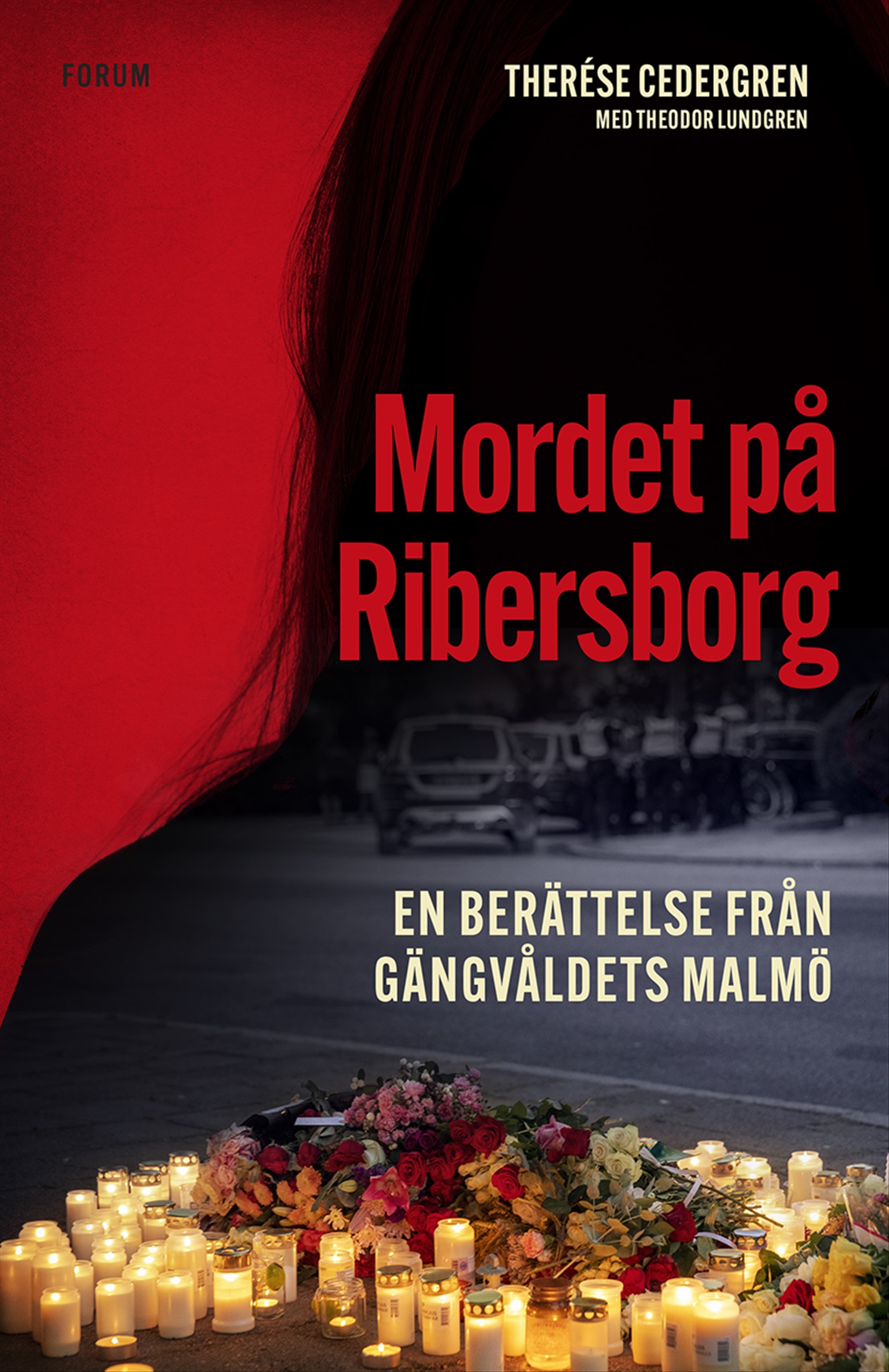 Omslag: Mordet på Ribersborg : en berättelse från gängvåldets Malmö
