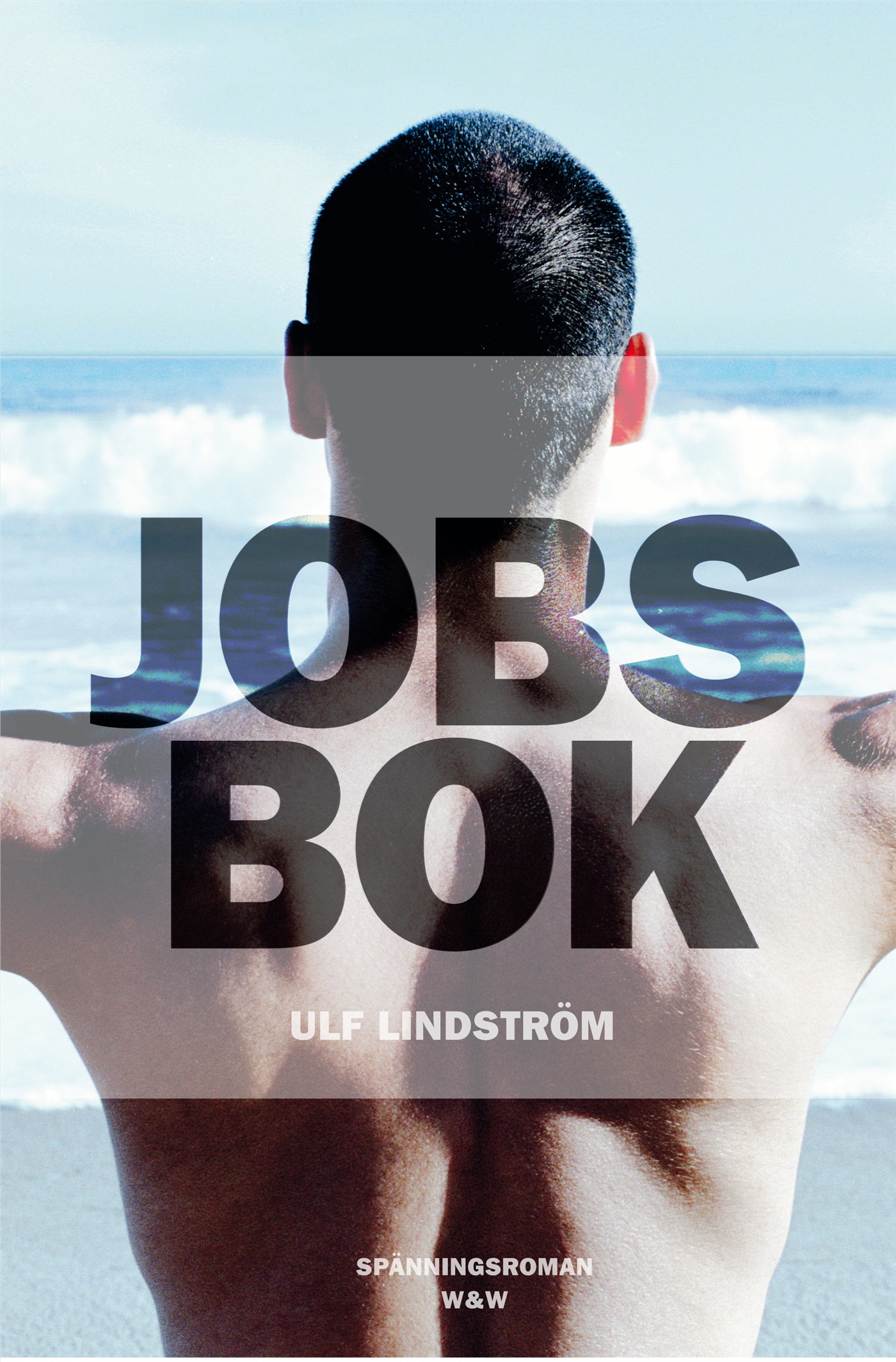 Omslag: Jobs bok