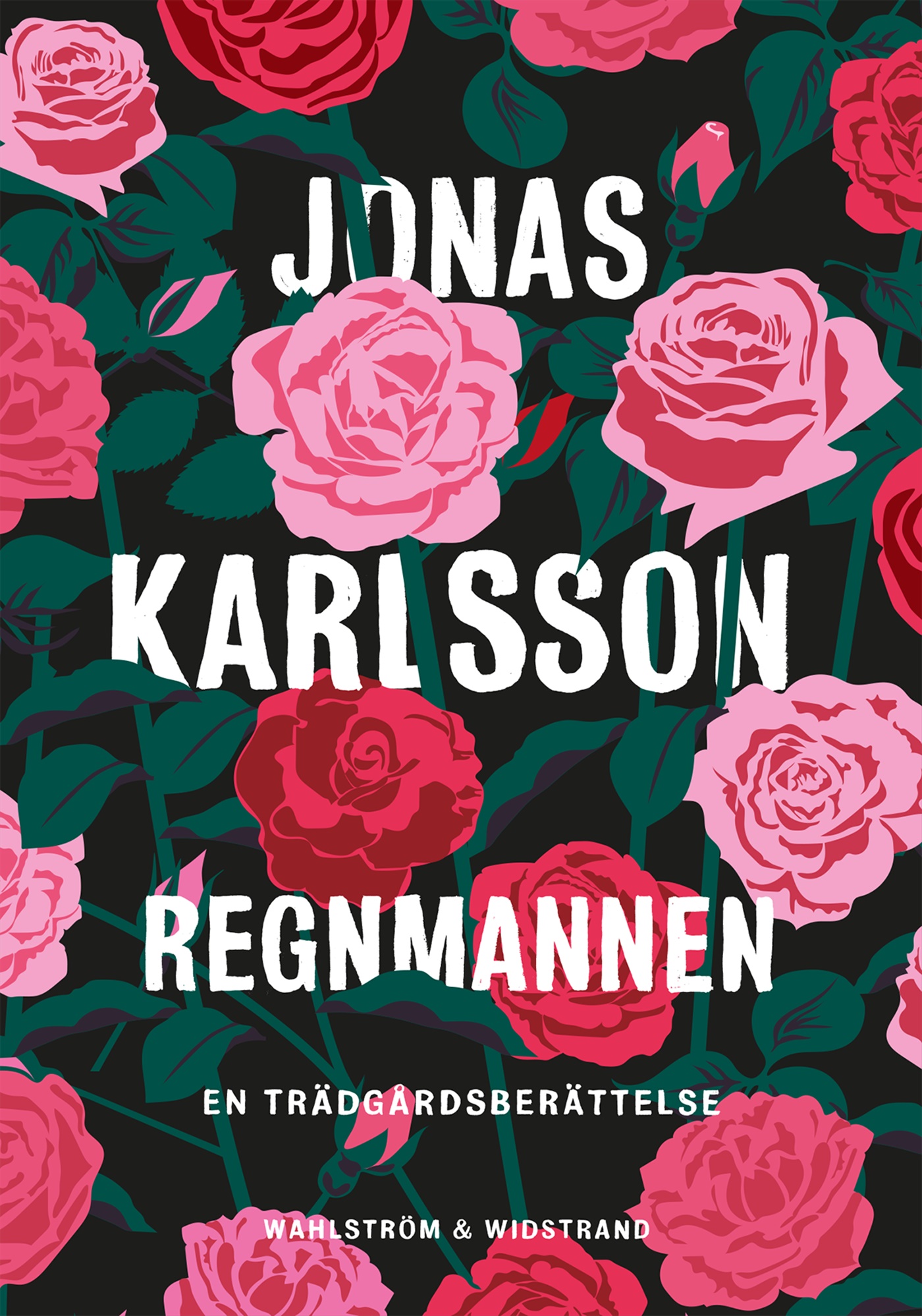Omslag: Regnmannen : en trädgårdsberättelse