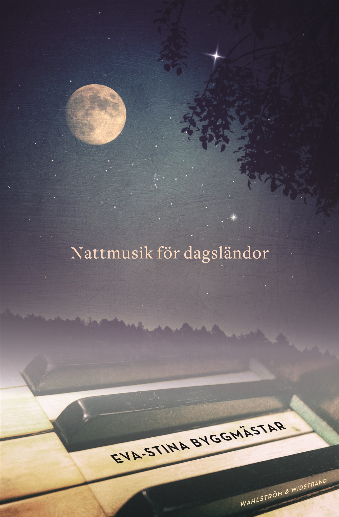 Omslag: Nattmusik för dagsländor