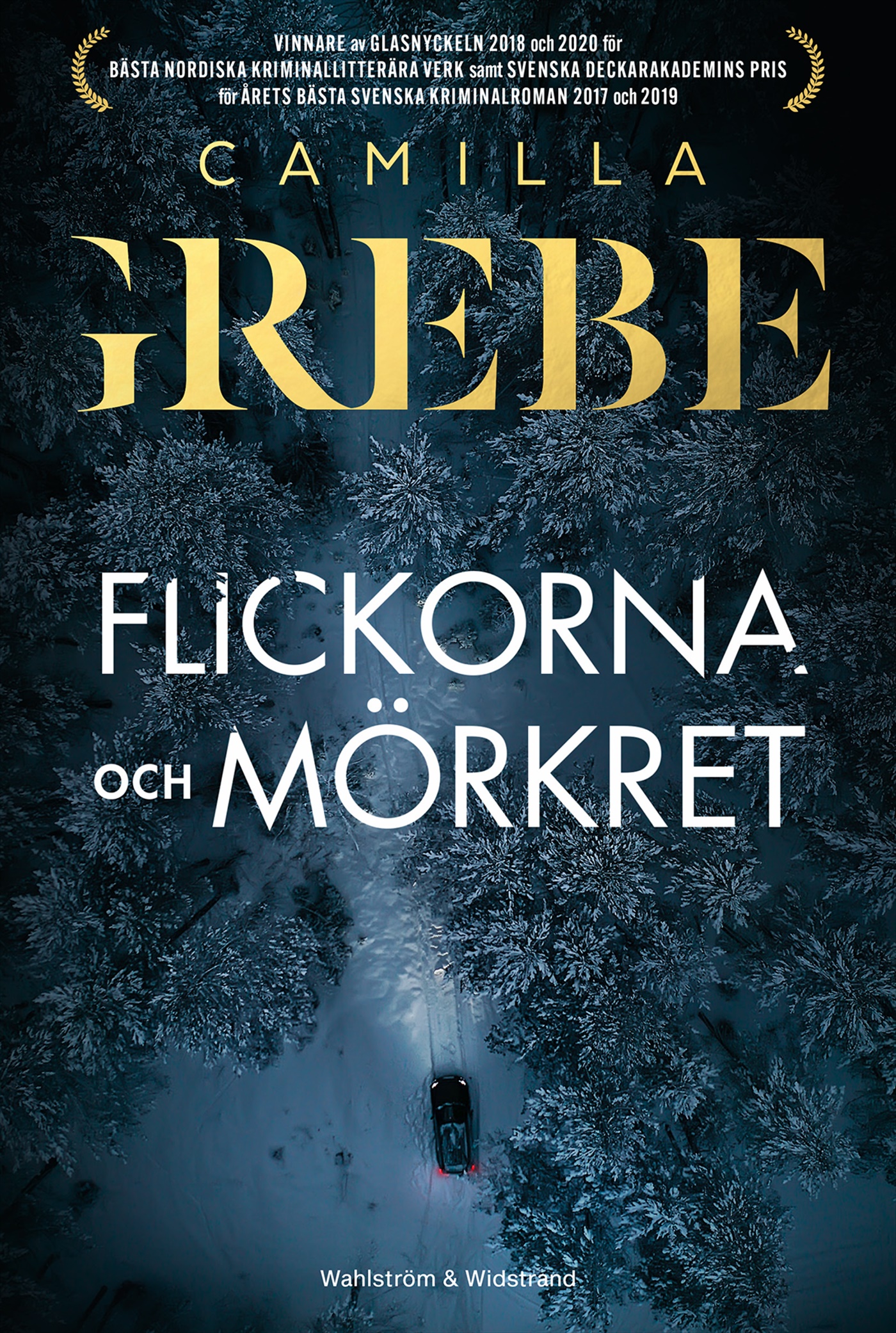 Omslag: Flickorna och Mörkret