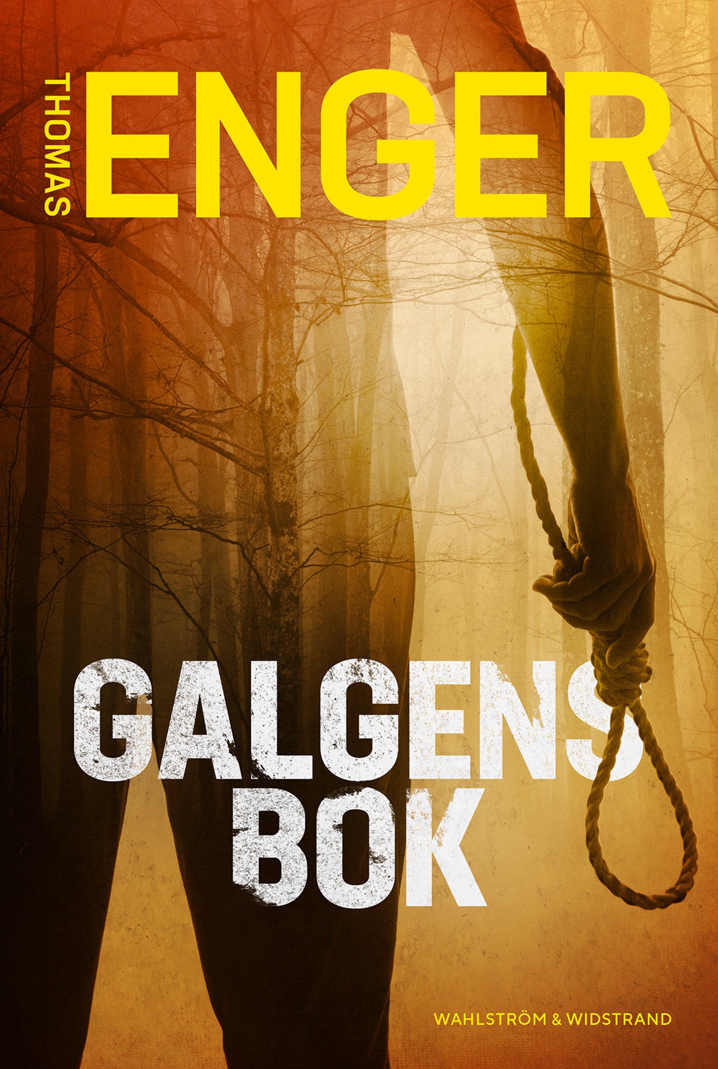Omslag: Galgens bok
