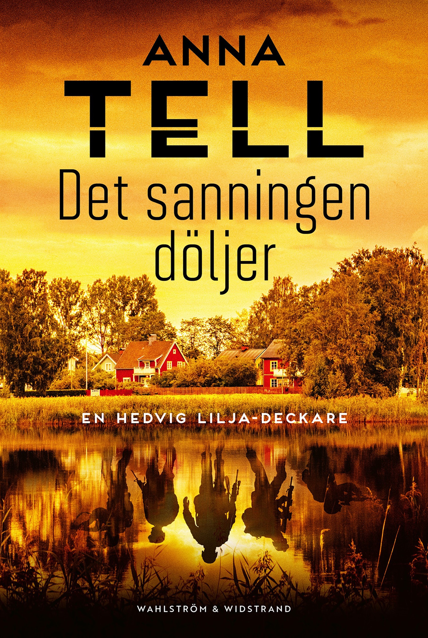 Omslag: Det sanningen döljer