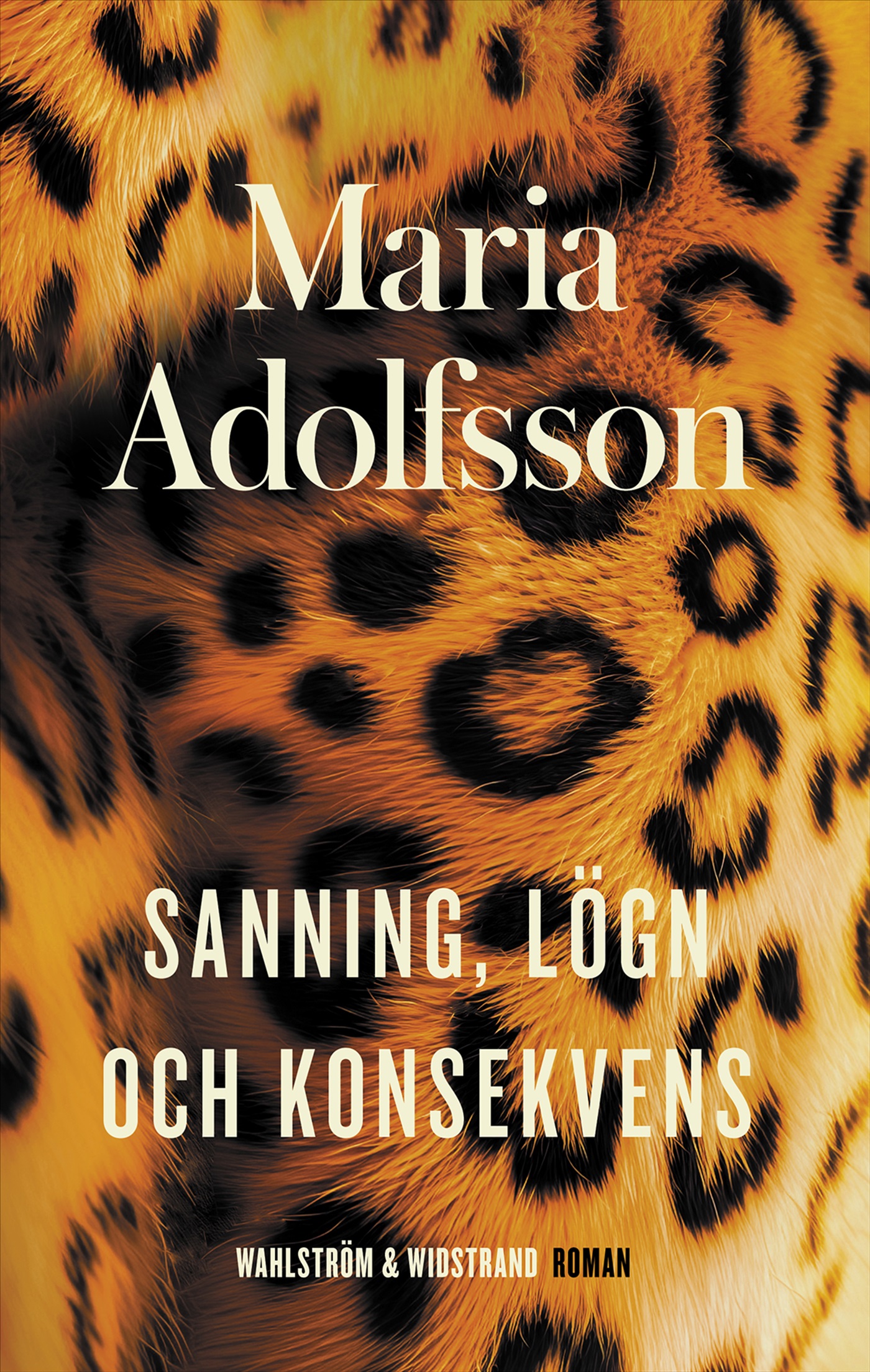Omslag: Sanning, lögn och konsekvens