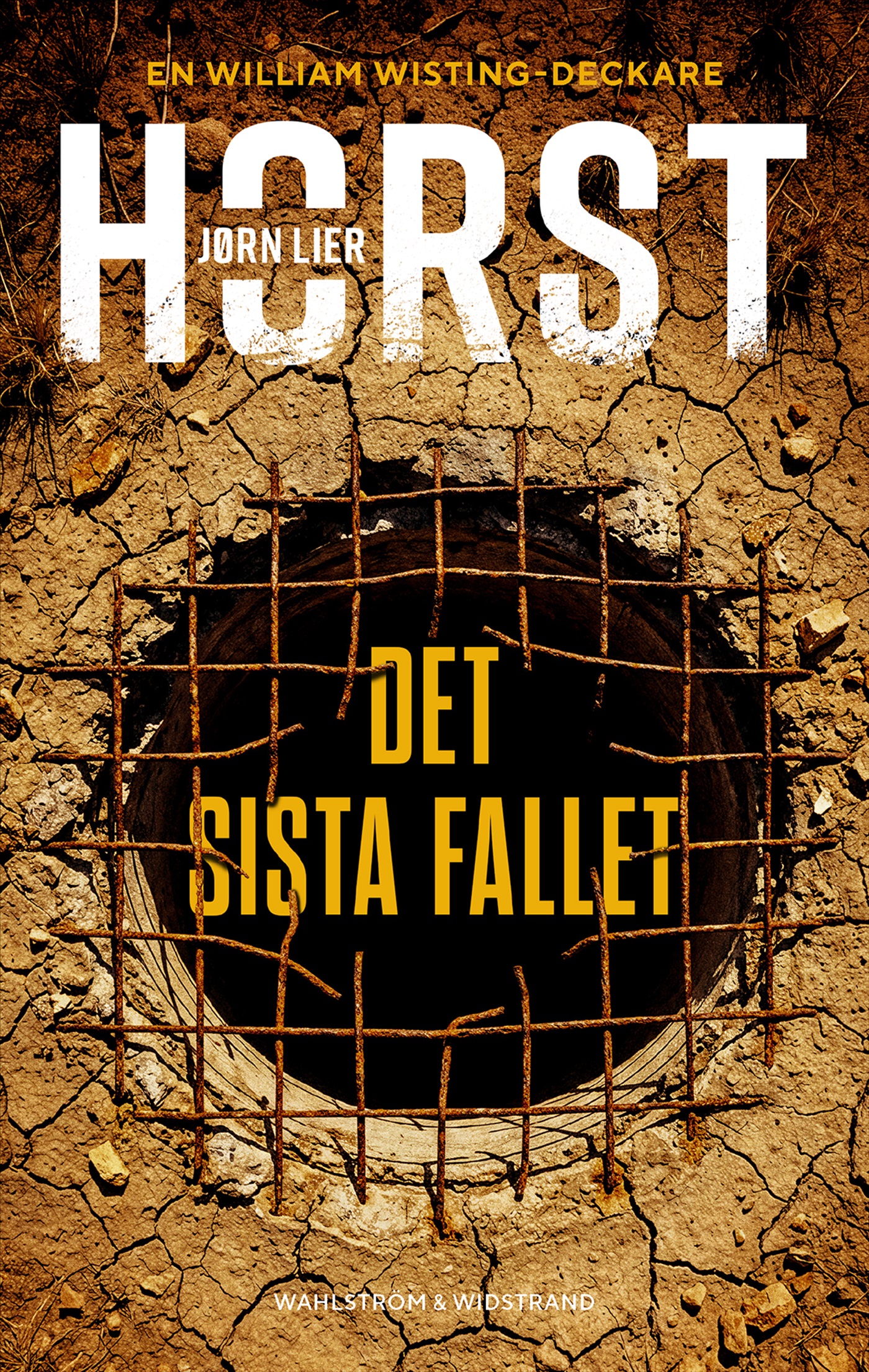 Omslag: Det sista fallet