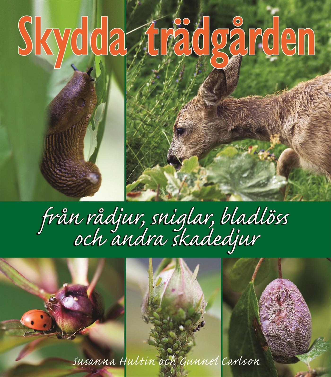 Skydda trädgården