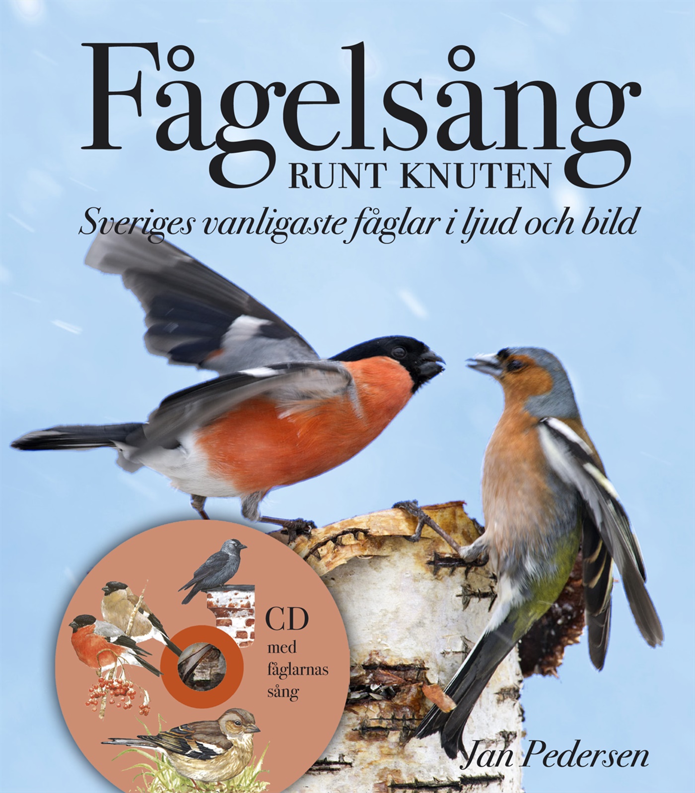 Omslag: Fågelsång runt knuten : Sveriges vanligaste fåglar i ljud och bild