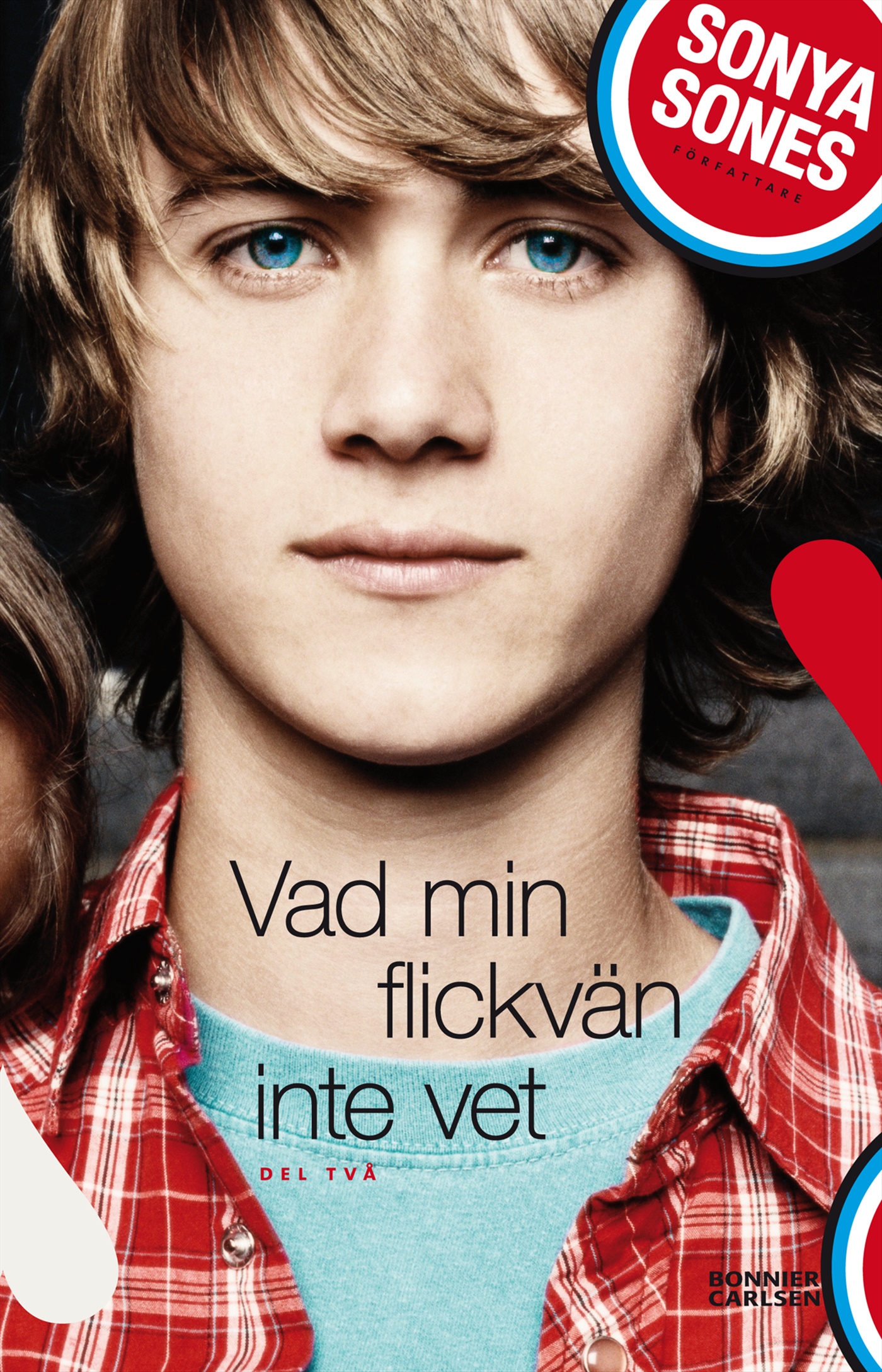 Omslag: Vad min flickvän inte vet
