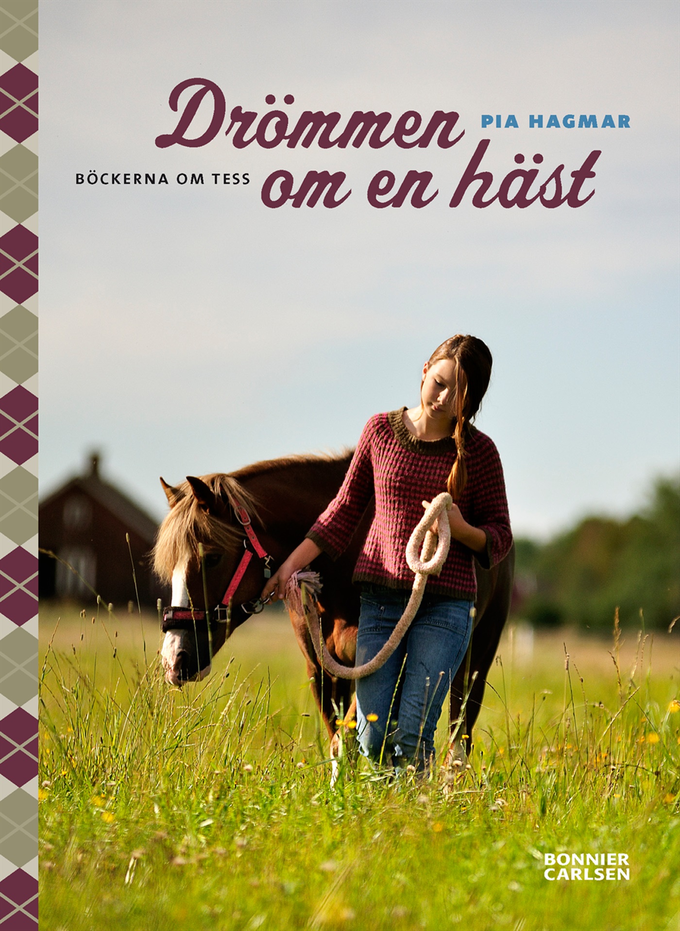 Omslag: Drömmen om en häst