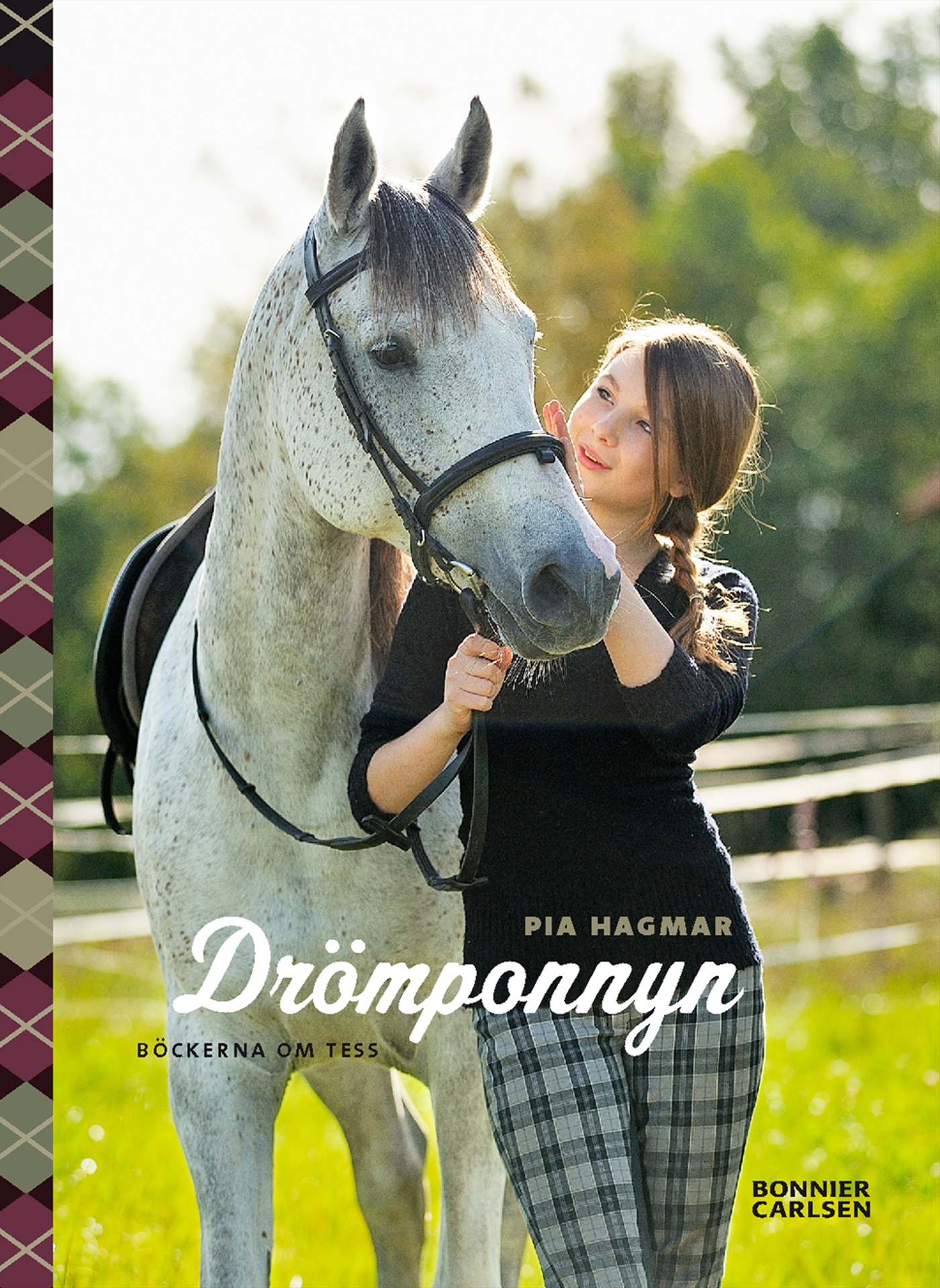 Omslag: Drömponnyn