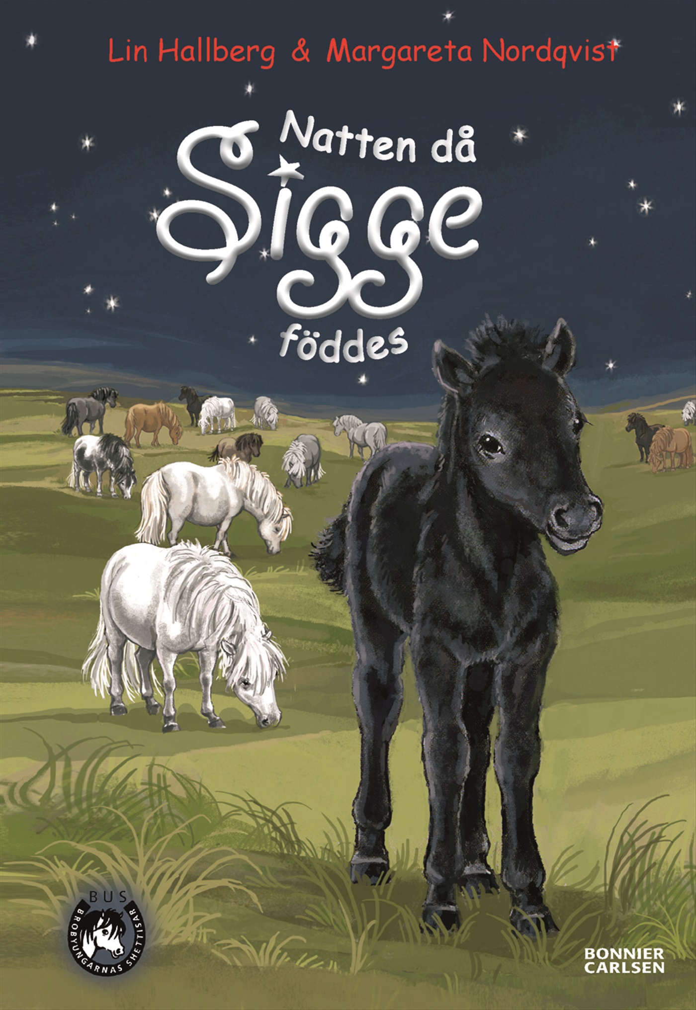 Omslag: Natten då Sigge föddes