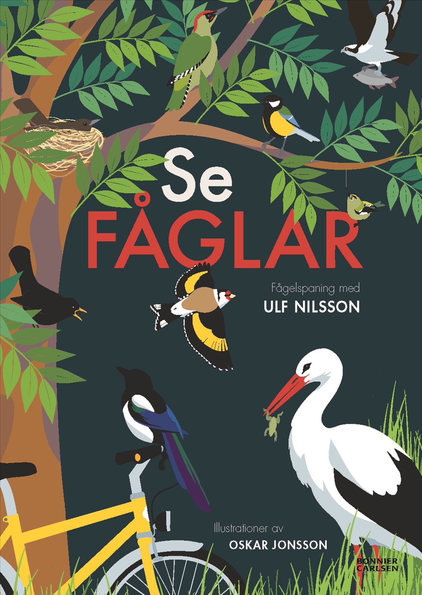 Omslag: Se fåglar