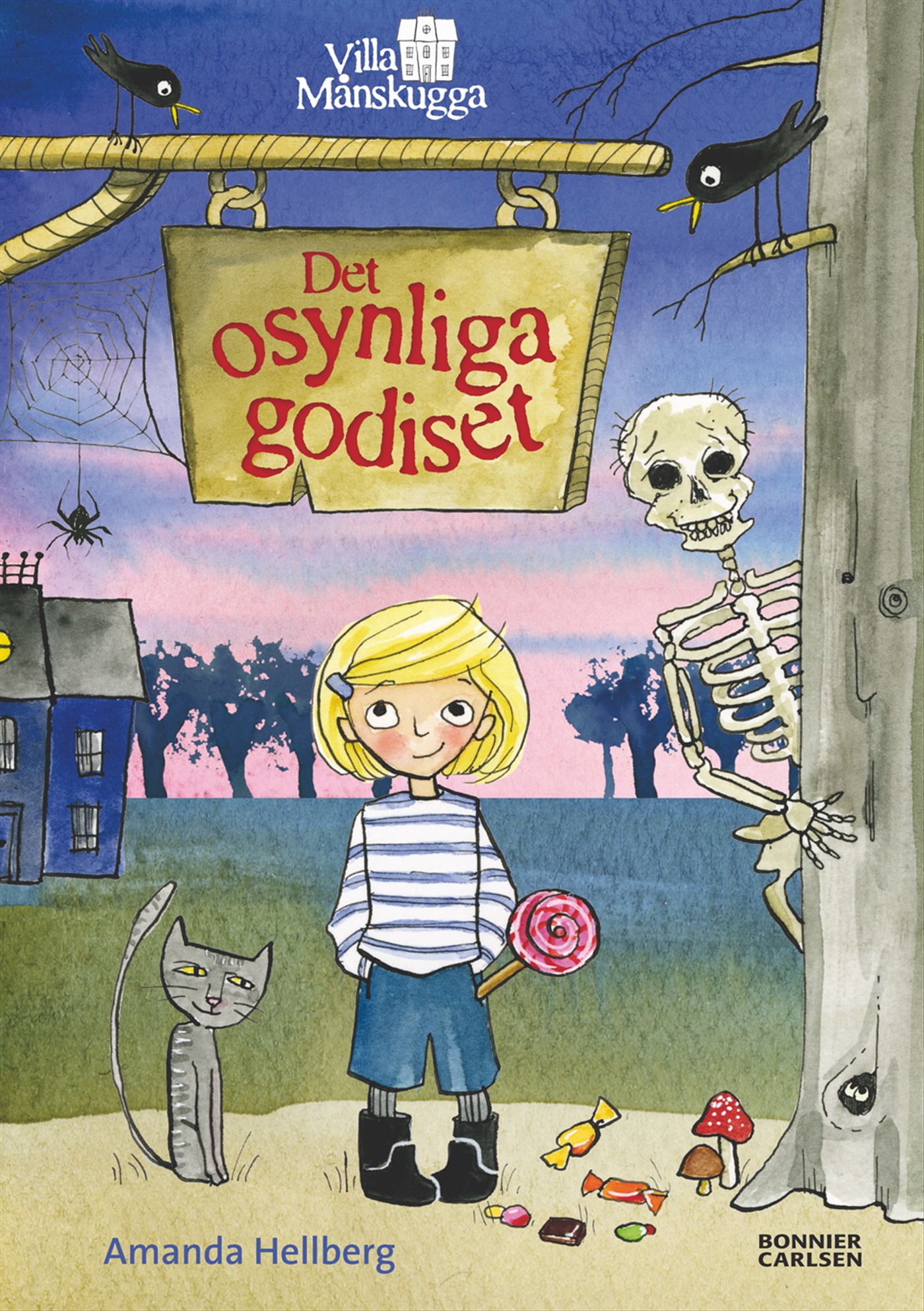 Omslag: Det osynliga godiset